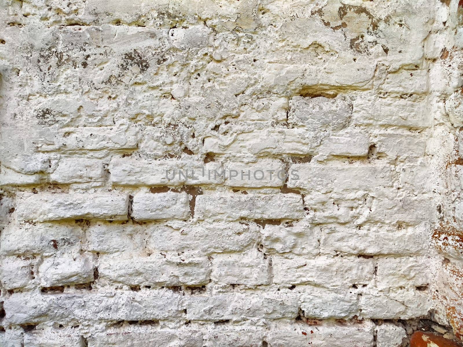 Rough textured white bricks create a rustic backdrop, providing ample space for text, perfect for creative projects and designs.