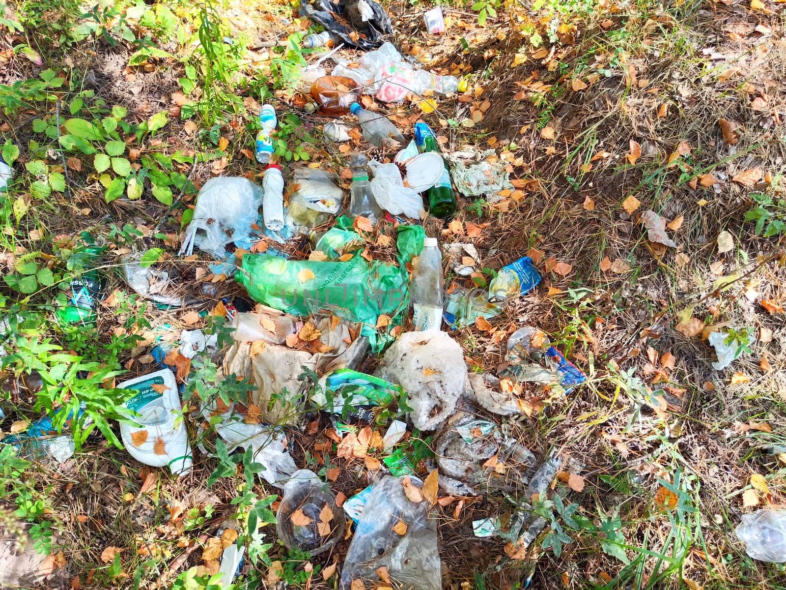 Kirov, Russia - September 08, 2024: Litter accumulates among leaves and plants, emphasizing the urgent need for environmental protection and cleanup efforts.