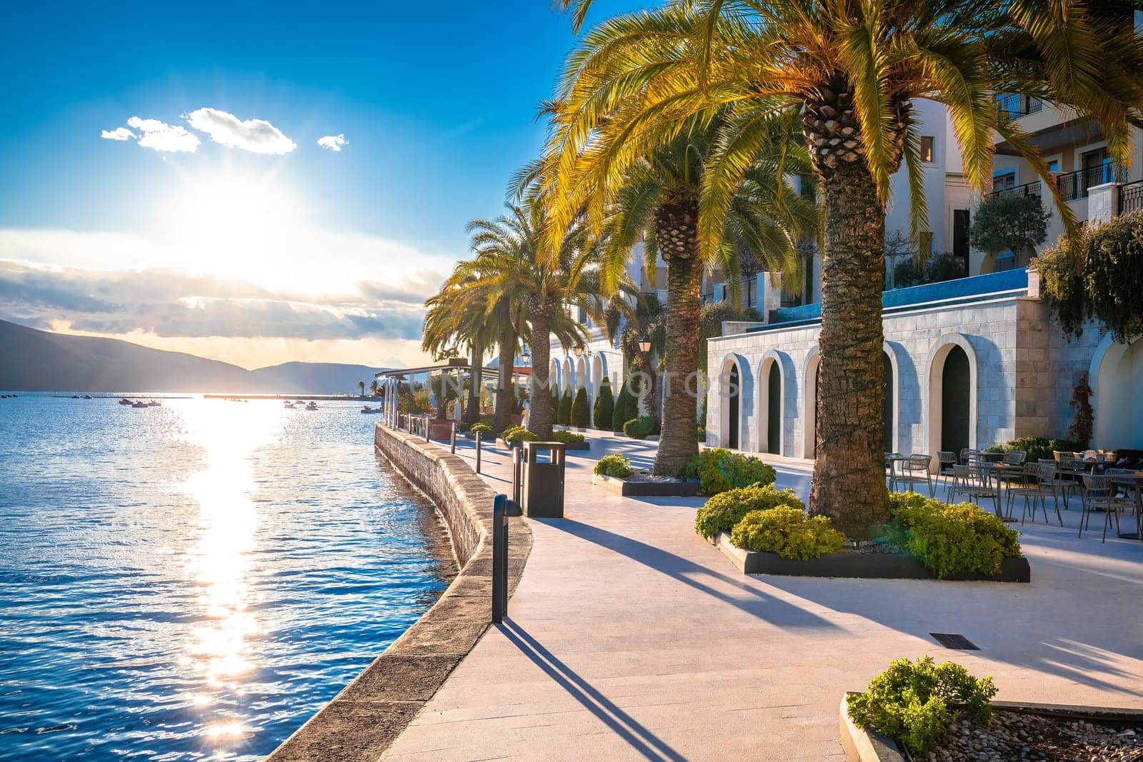 Luxury coastline of Town of Tivat by xbrchx