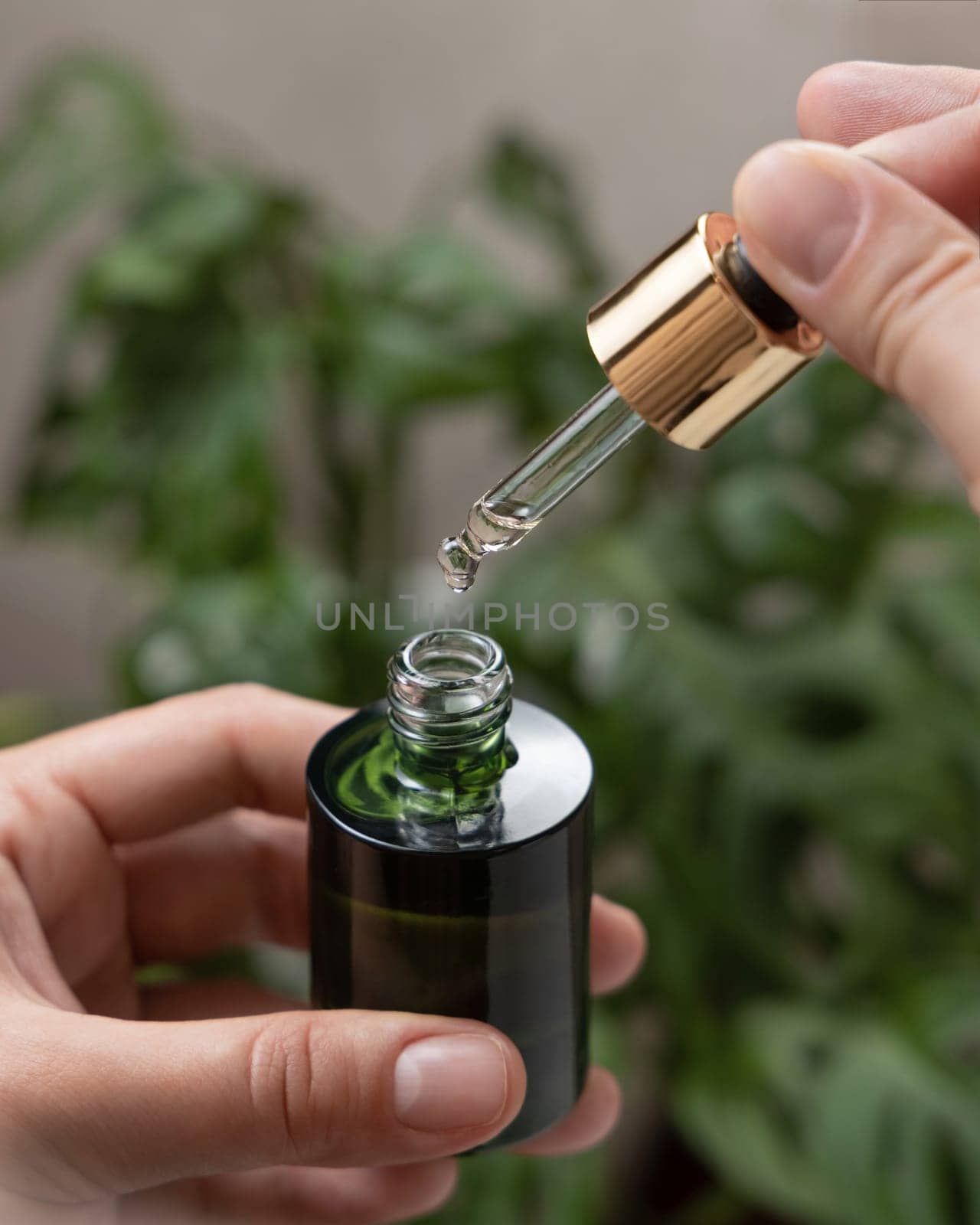 Female hands with natural manicure opening green cosmetic dropper bottle against green plant. Close up of woman in bathroom with drop of serum or essence falling from pipette