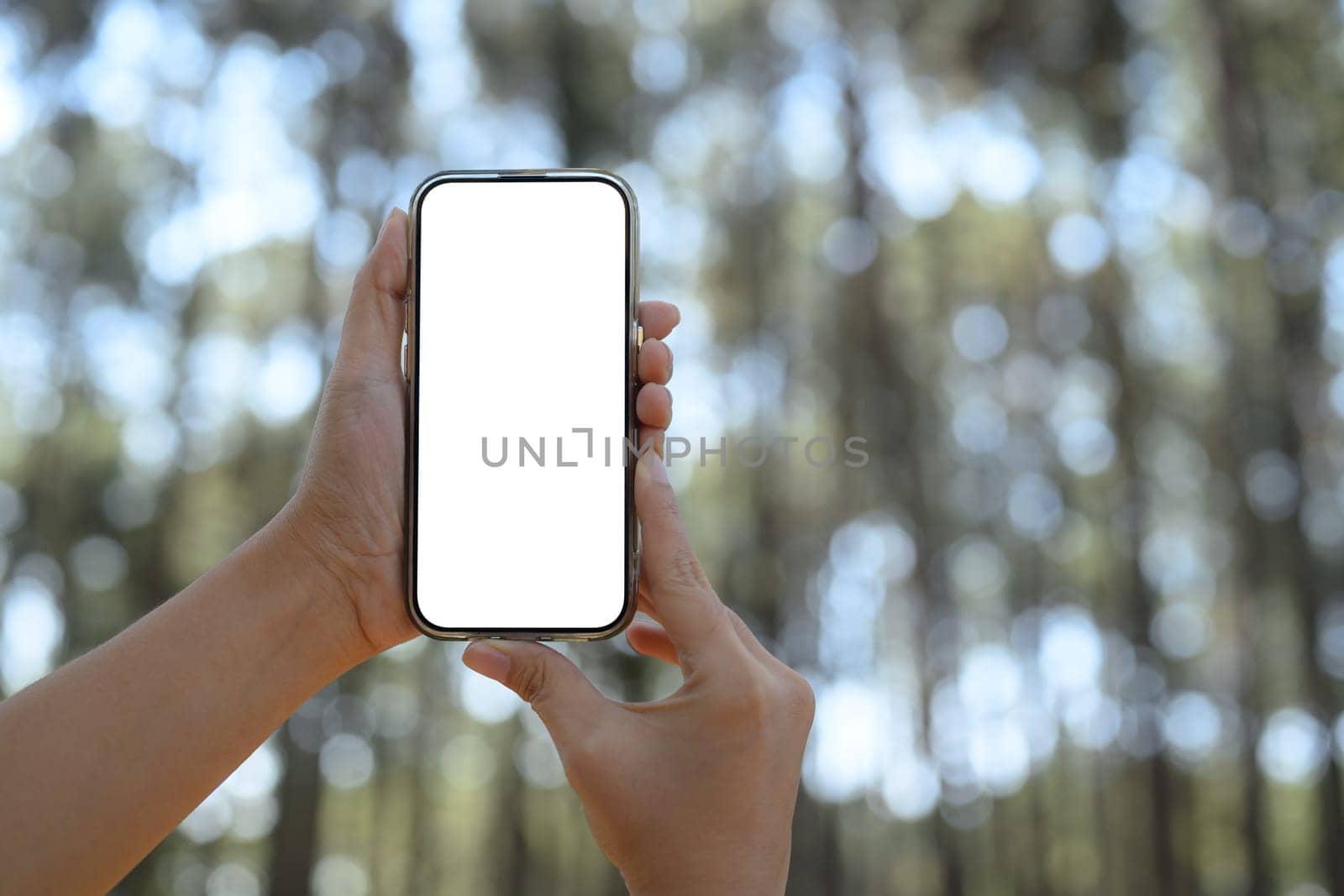 Hands holding mobile phone with a white screen against a blurred forest backdrop.