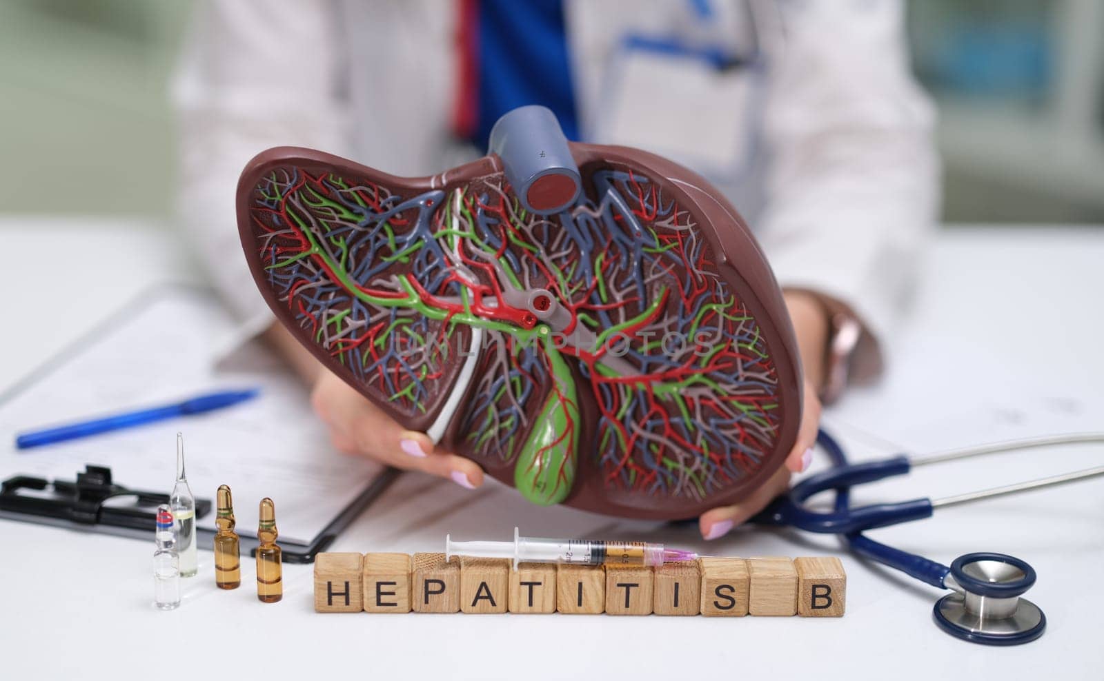 Anatomical liver model showcasing Hepatitis B effects, essential medical tools, and awareness initiatives