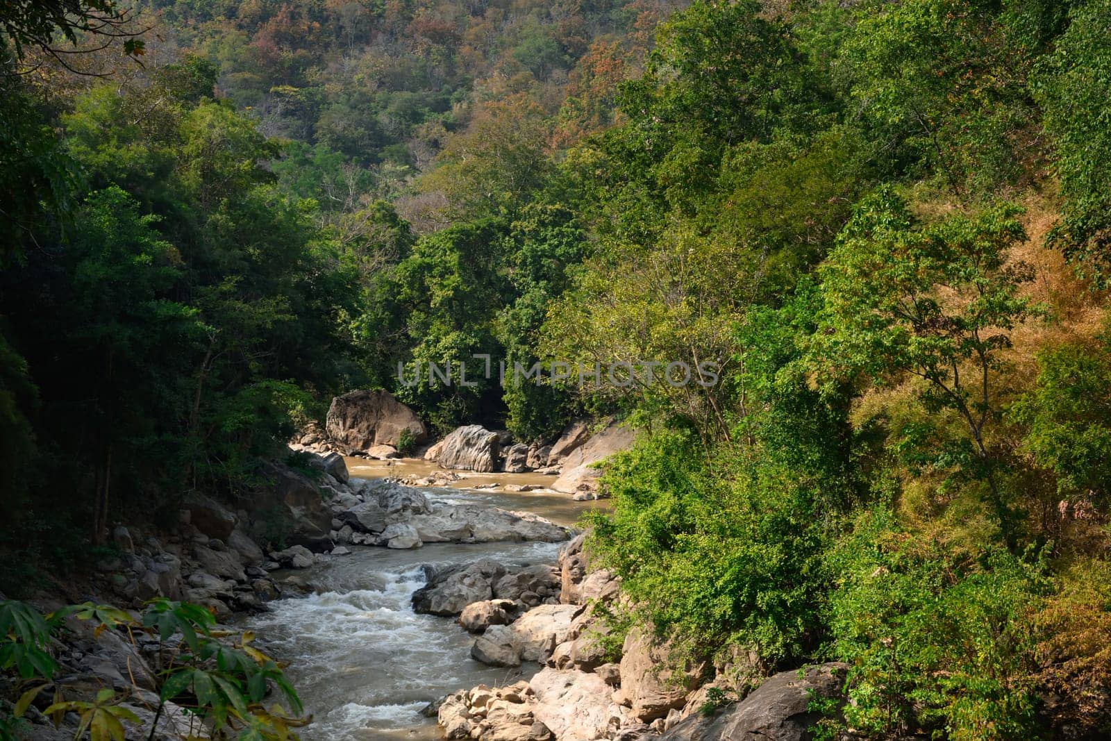 Tranquil river flowing through green forest surrounded by rocky. Beauty of nature, environment, and travel concept.