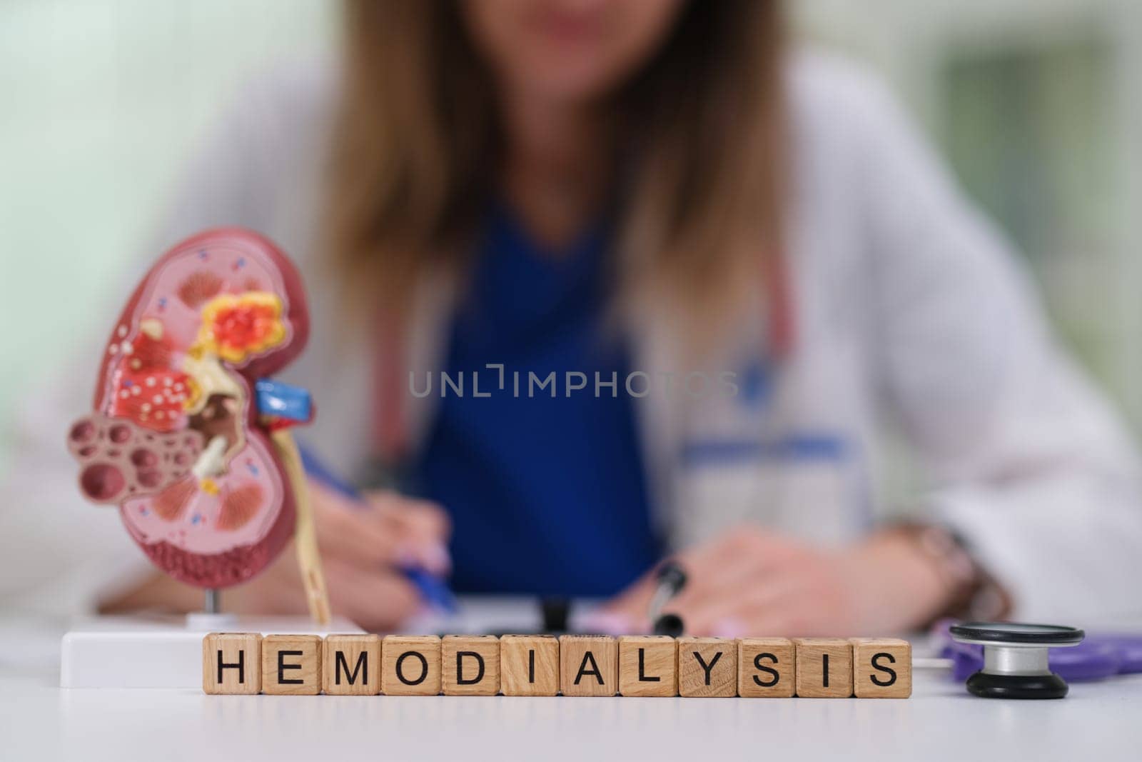 A medical professional is carefully discussing hemodialysis while focusing on a detailed kidney model as a visual aid