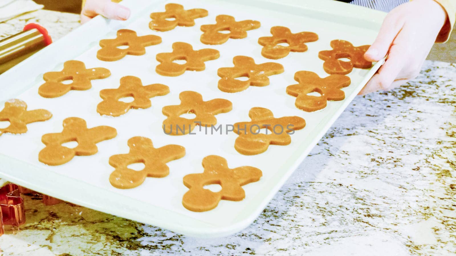 Freshly cut-out gingerbread cookies rest on a baking sheet, lined with parchment paper, awaiting a cool and refreshing chill in the fridge before their delicious transformation in the oven.
