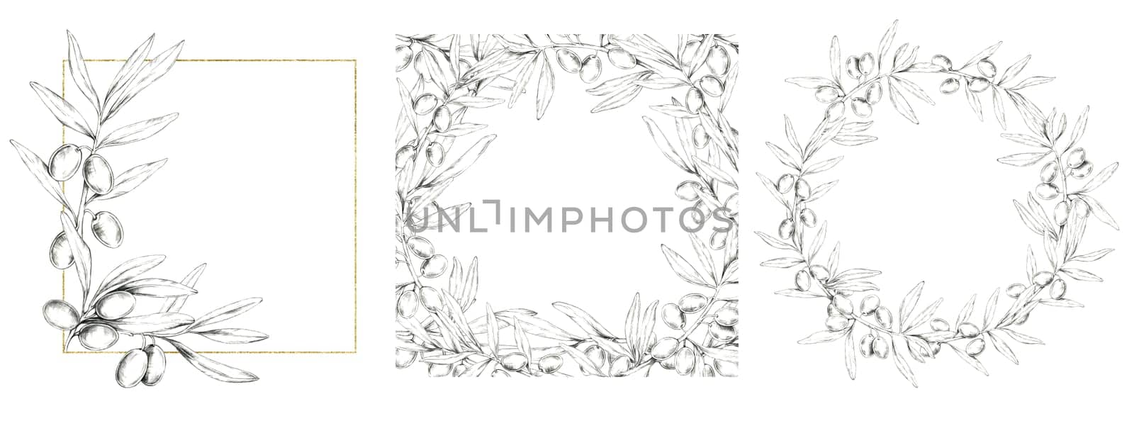 A collection of pencil-drawn olive branch frames in different shapes, complemented by golden accents. Template set Ideal for cosmetics, invitations, or designing organic-themed brand packaging
