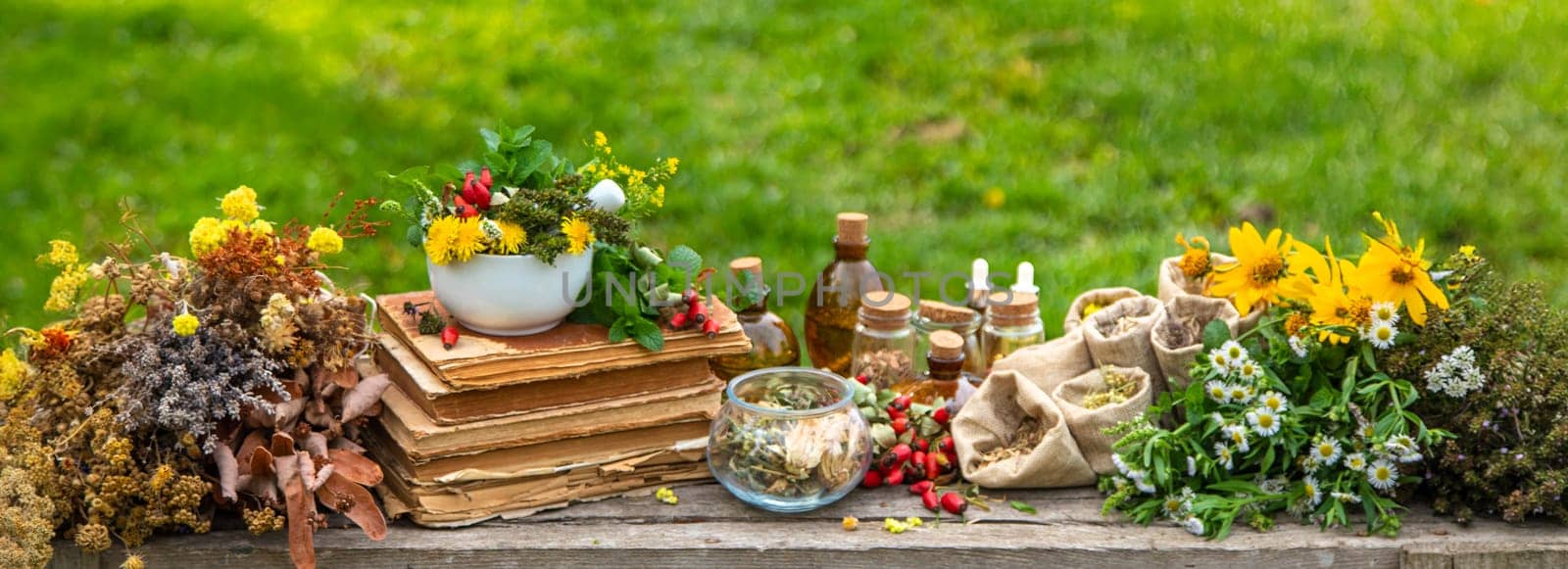 Medicinal herbs alternative medicine in nature. Selective focus. Flowers.