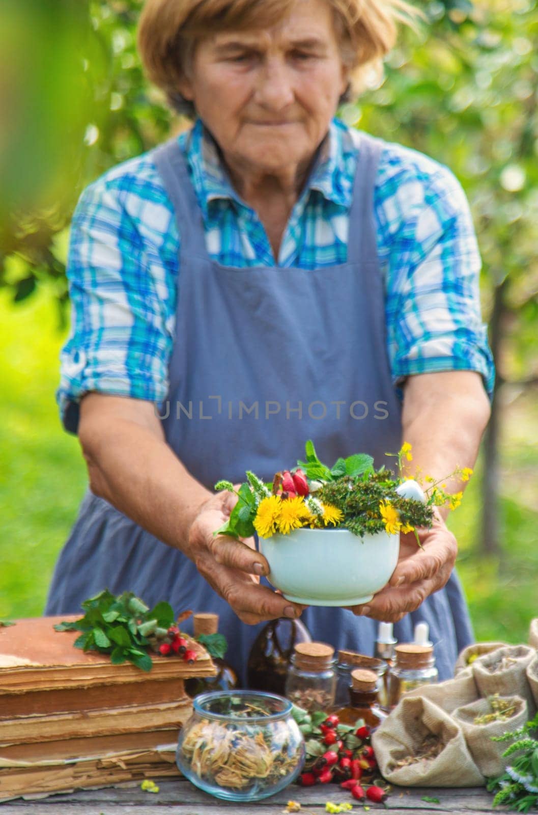 Medicinal herbs alternative medicine old woman. Selective focus. Nature.