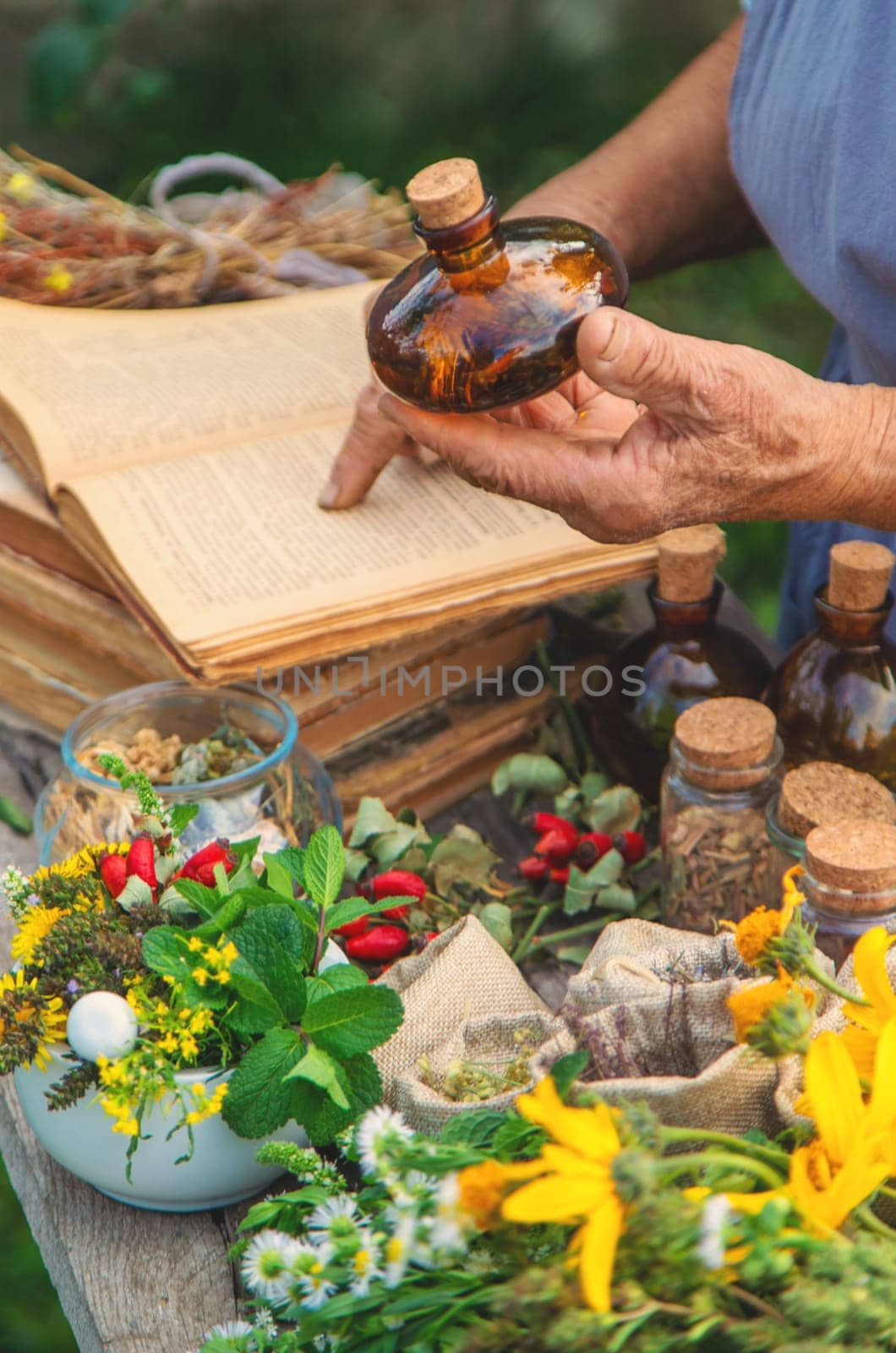 Medicinal herbs alternative medicine old woman. Selective focus. Nature.