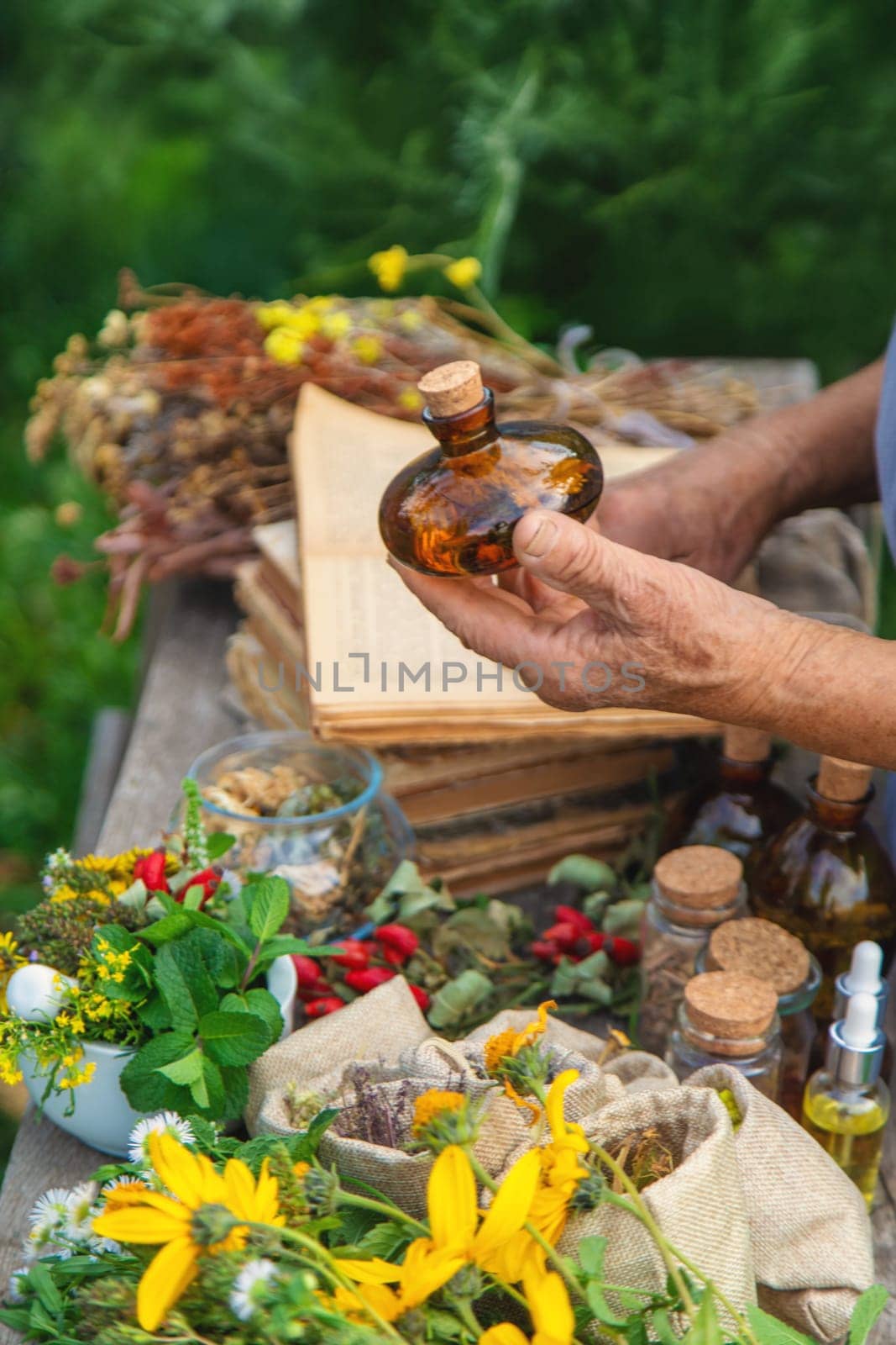 Medicinal herbs alternative medicine old woman. Selective focus. Nature.