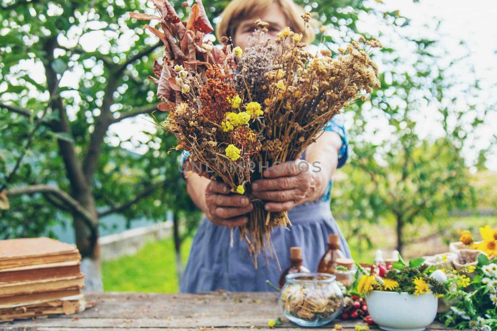 Medicinal herbs alternative medicine old woman. Selective focus. Nature.