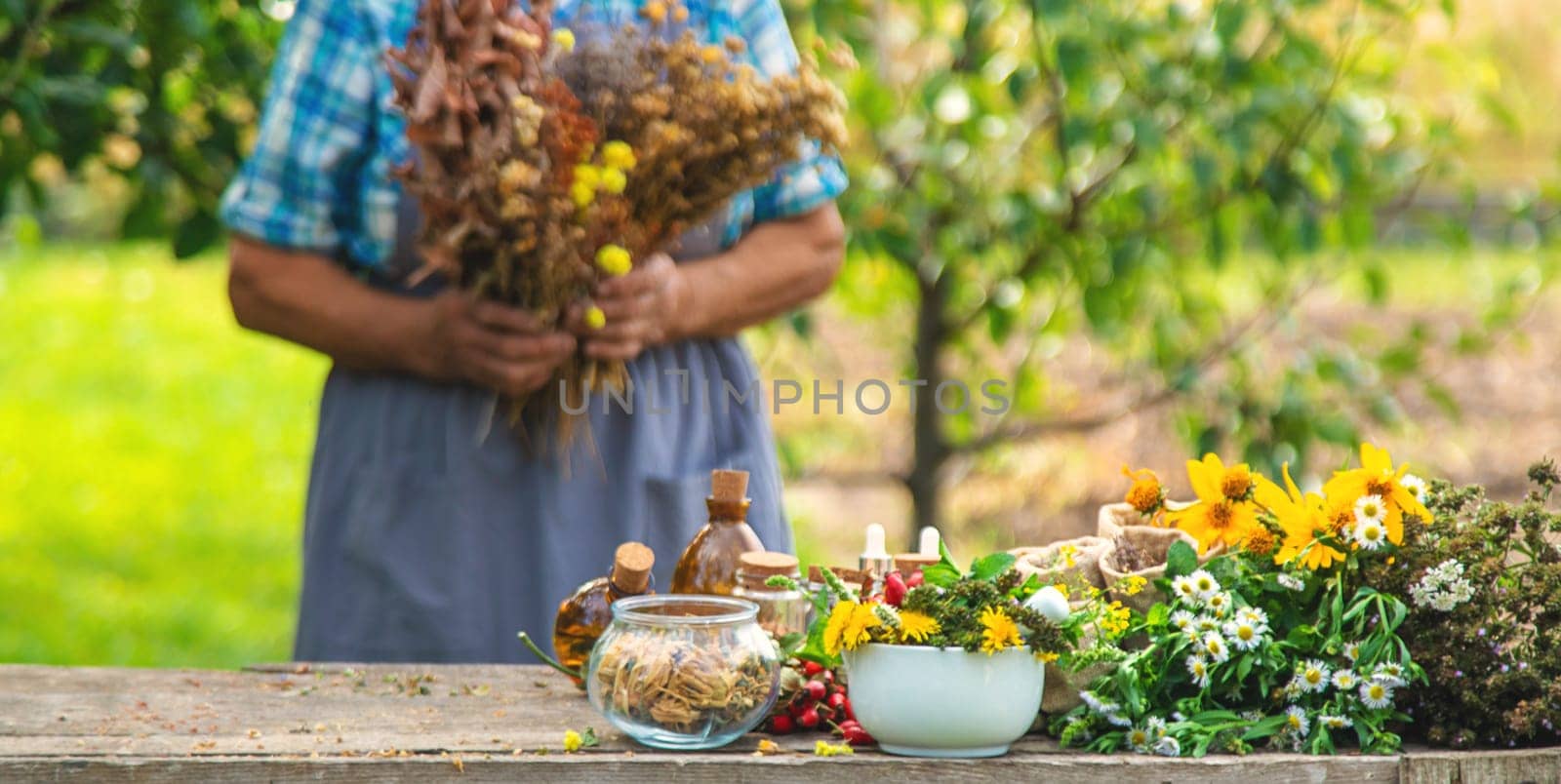 Medicinal herbs alternative medicine old woman. Selective focus. Nature.