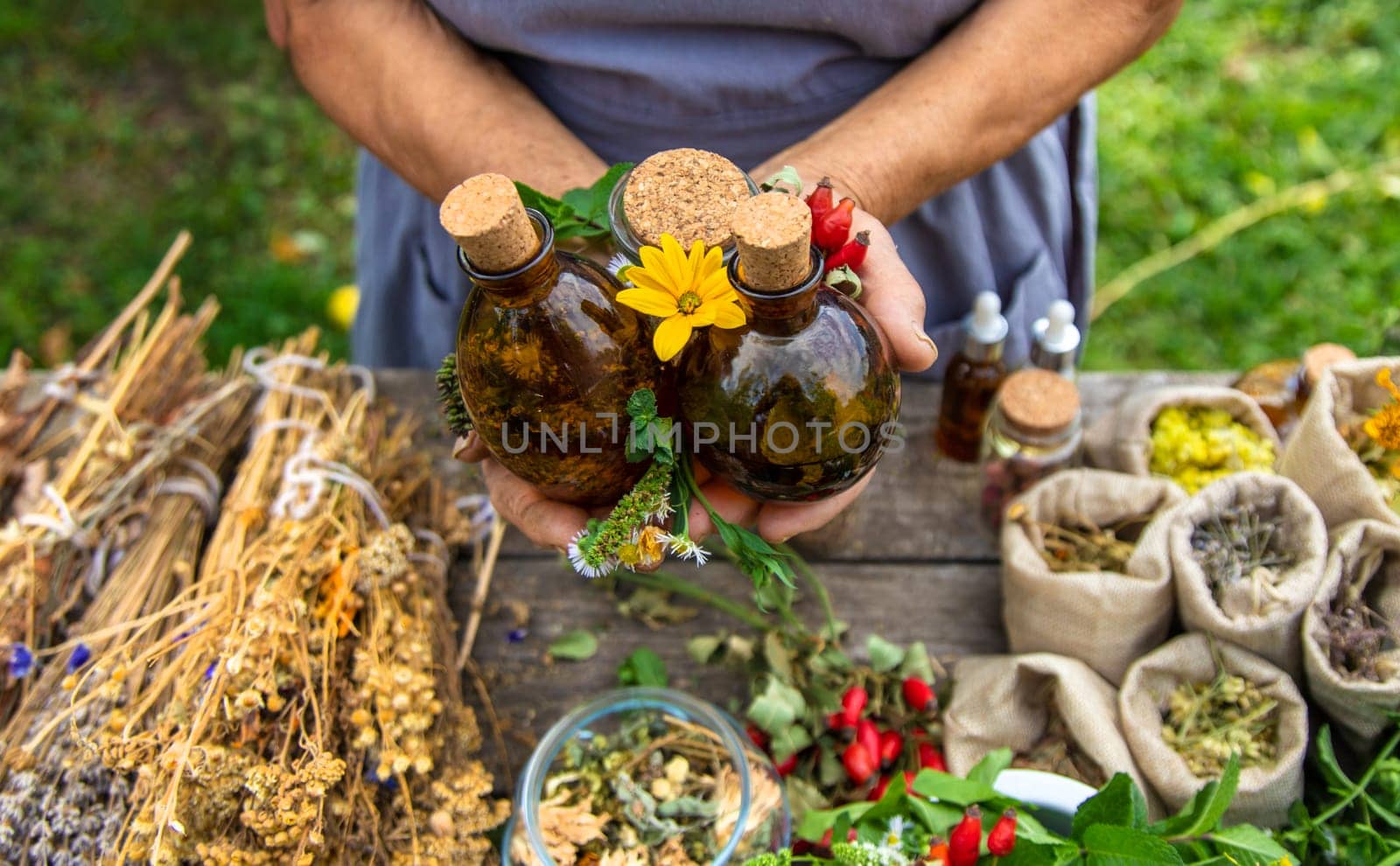 Medicinal herbs alternative medicine old woman. Selective focus. Nature.