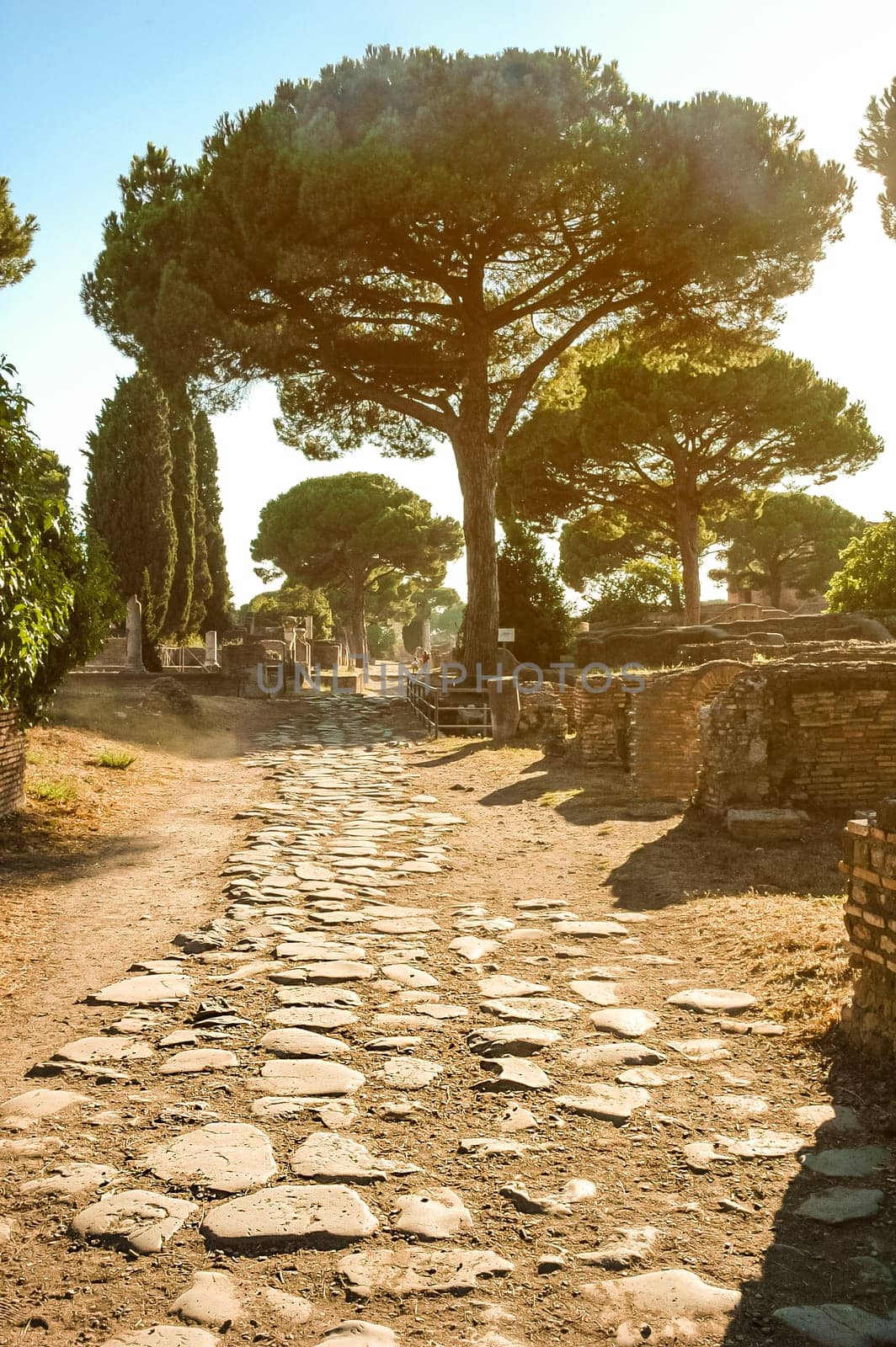 Vertical view of Ostia Antica at sunset by ivanmoreno