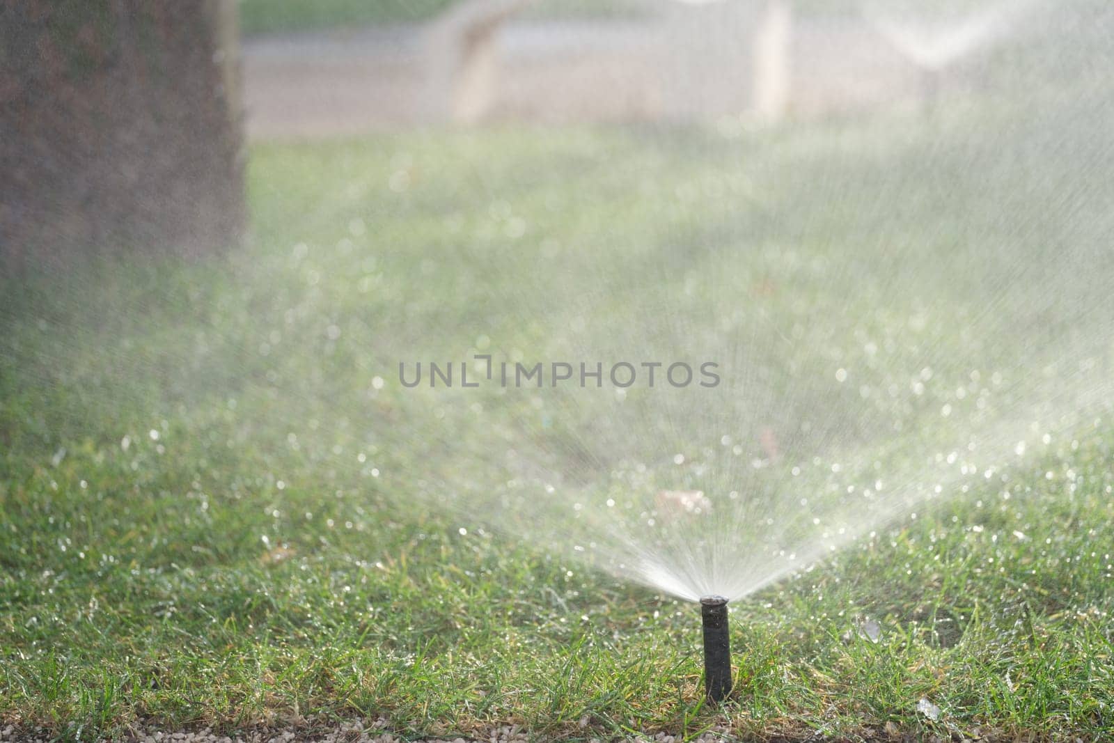 A lawn sprinkler efficiently sprays water over vibrant green grass, showcasing effective irrigation techniques