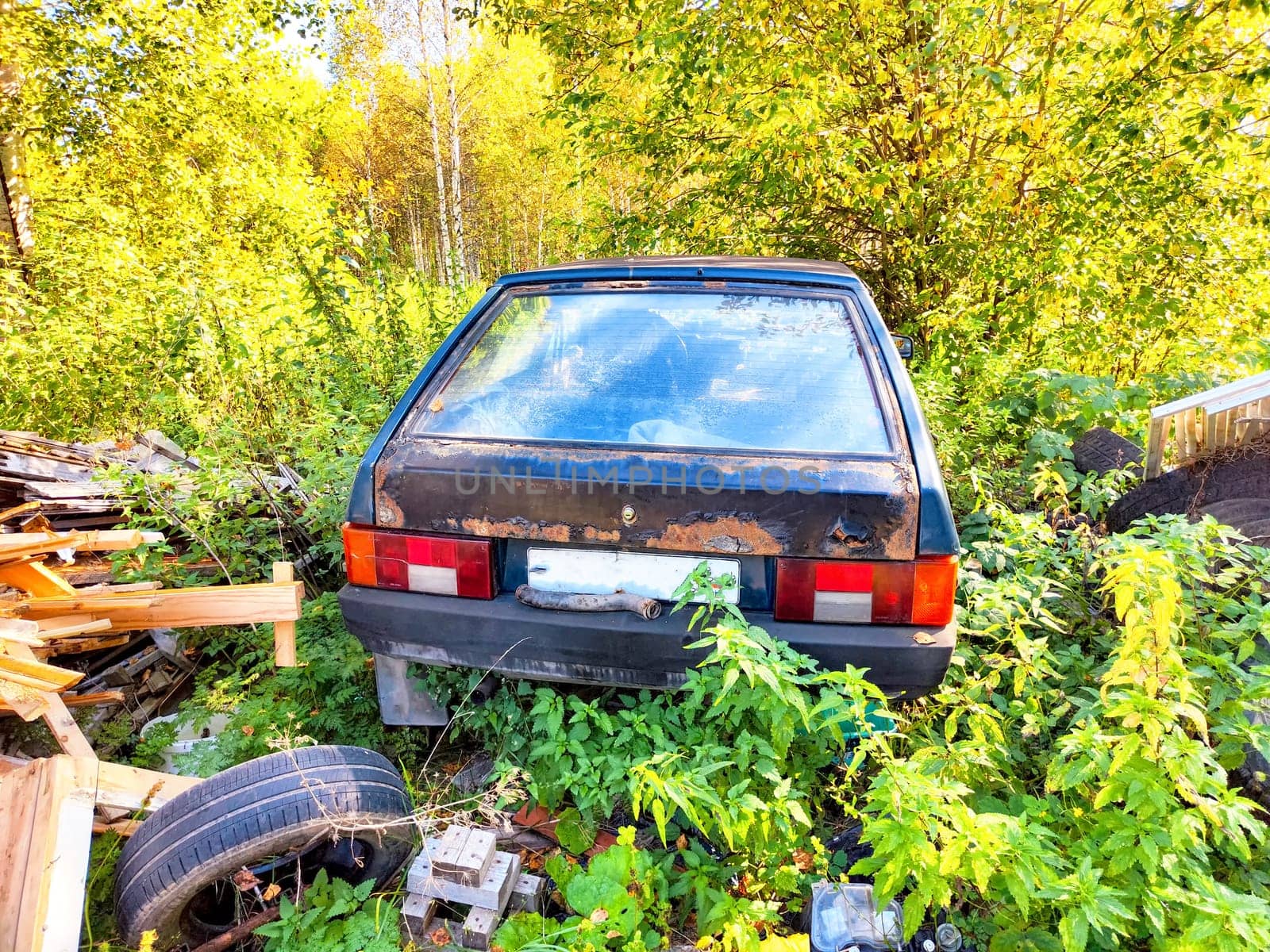 A neglected vehicle is partially hidden by dense vegetation and trees, revealing signs of rust and decay in a remote location.