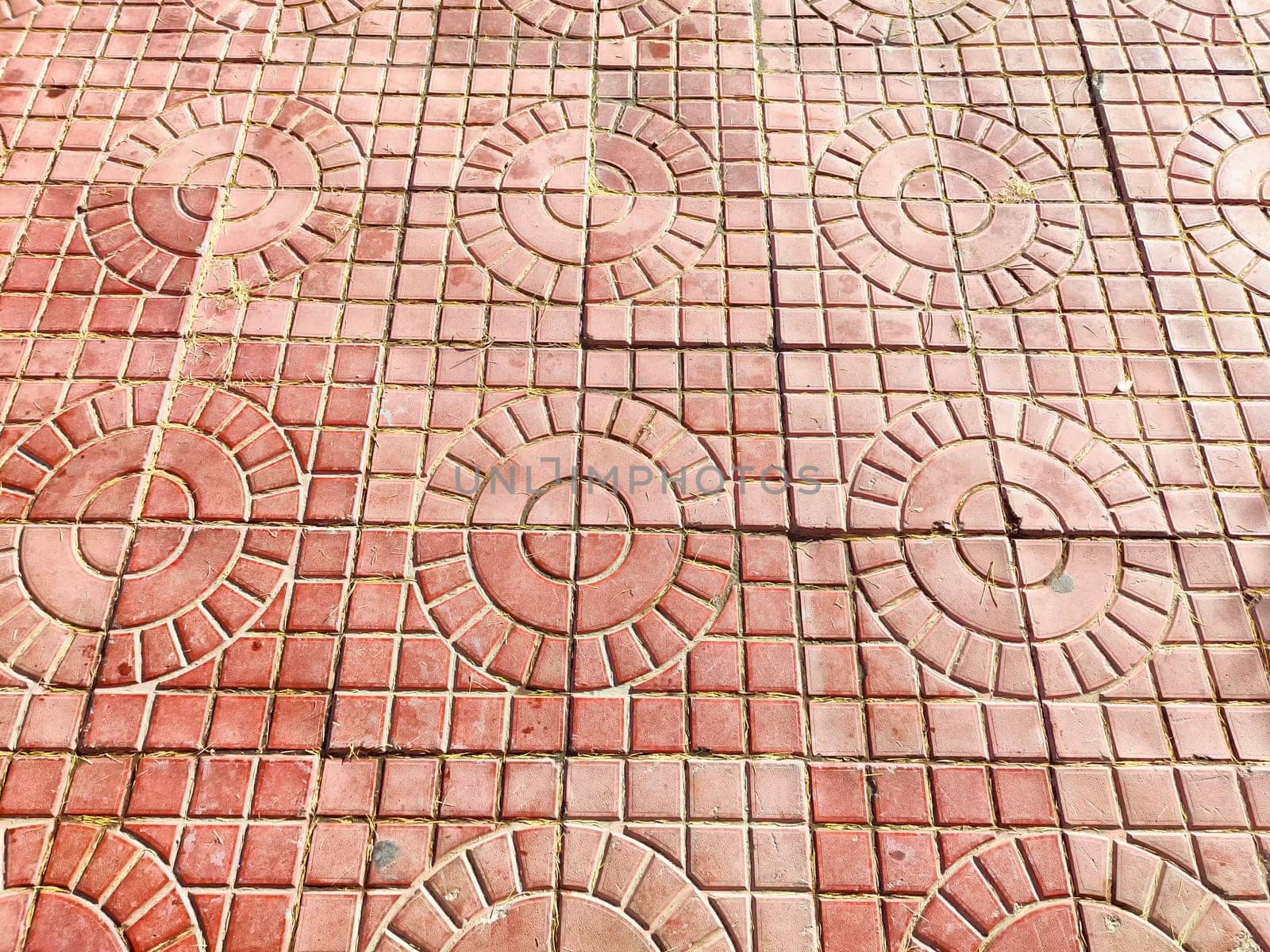 Detailed paving stones featuring circular designs create an attractive outdoor surface suitable for pathways or garden spaces.