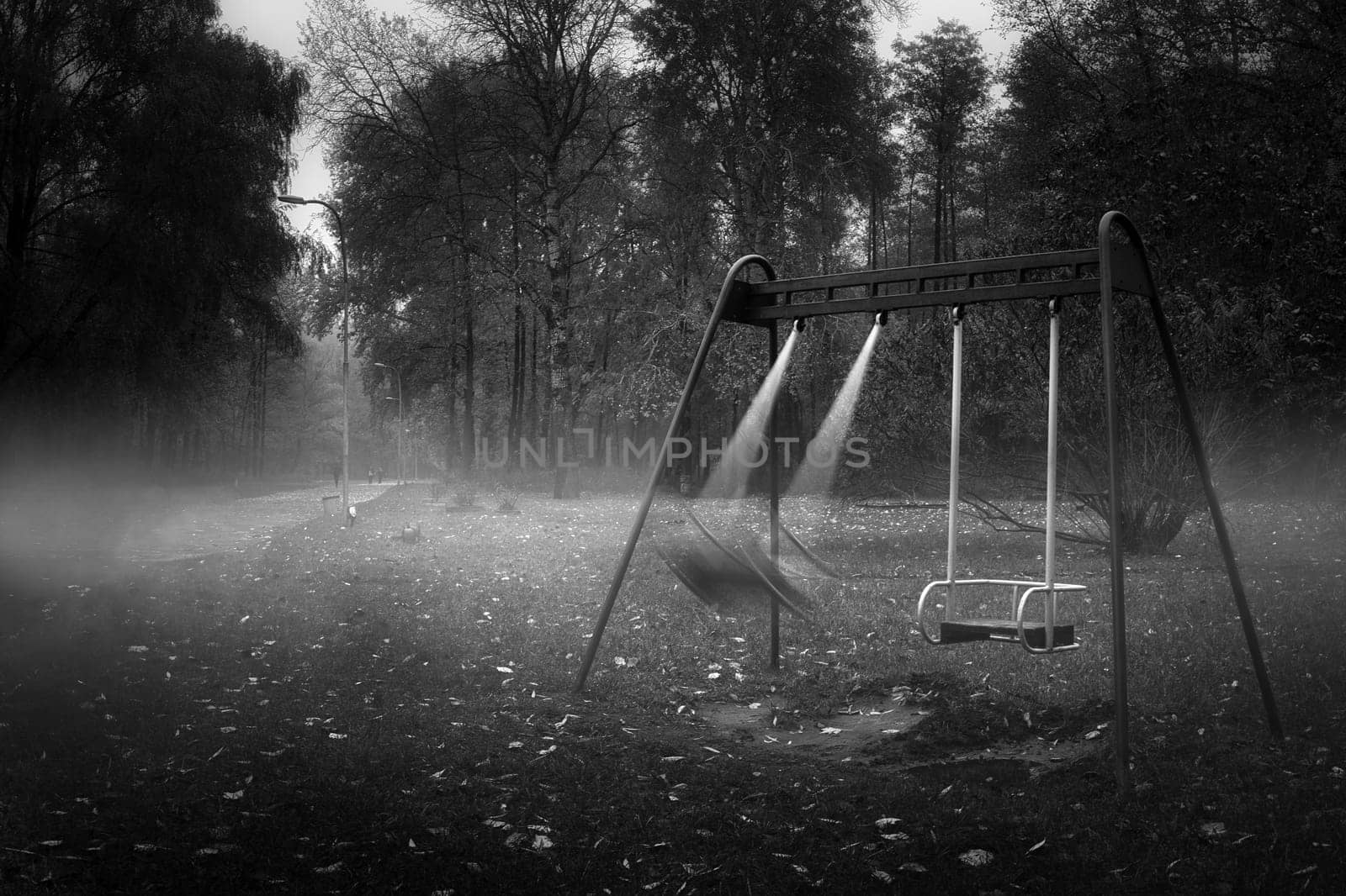 autumn landscape in the park black and white photo. High quality photo