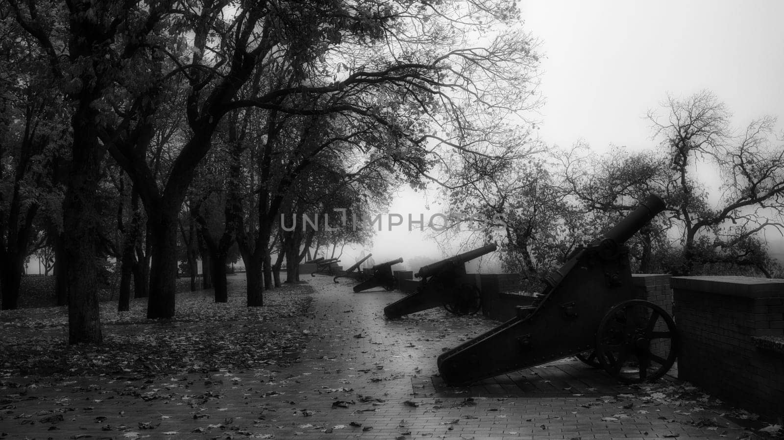 black and white landscape in the park. High quality photo