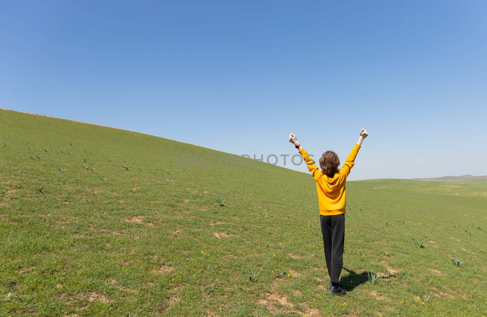 Back view of cheerful boy in the field with hands up, green field and blue sky view behind. Faceless.
