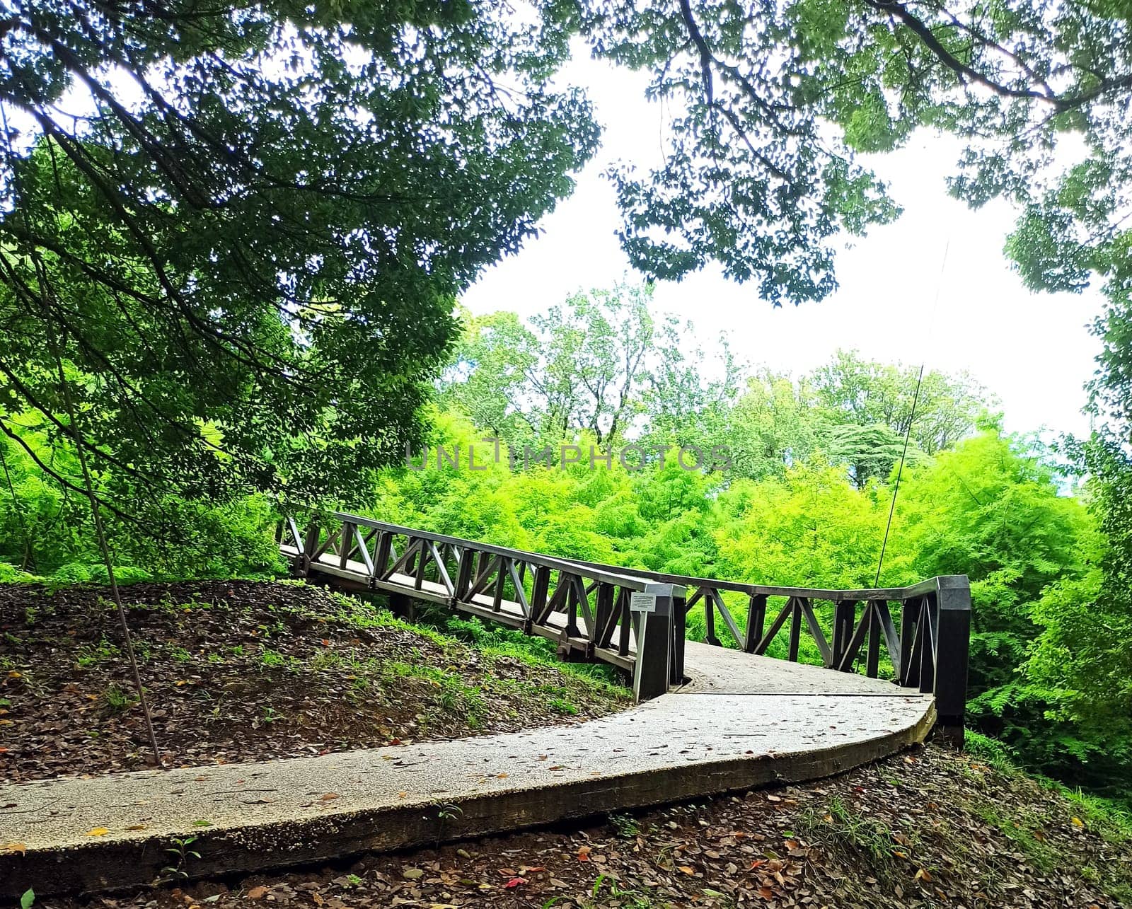 A beautiful wooden bridge stretches across a wooded area, surrounded by dense green foliage. The path gently curves under the dappled light filtering through the leaves.