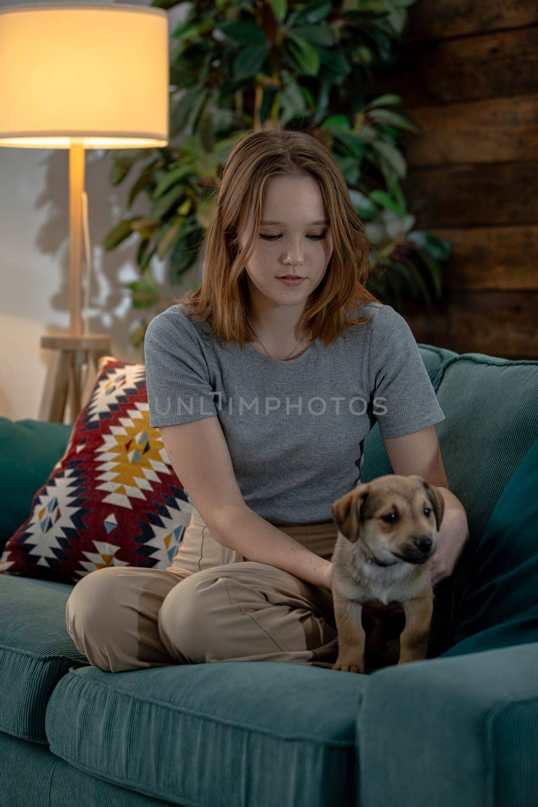 In a cozy and comfortable environment, a young girl is sitting on a couch, joyfully holding a cute and playful puppy