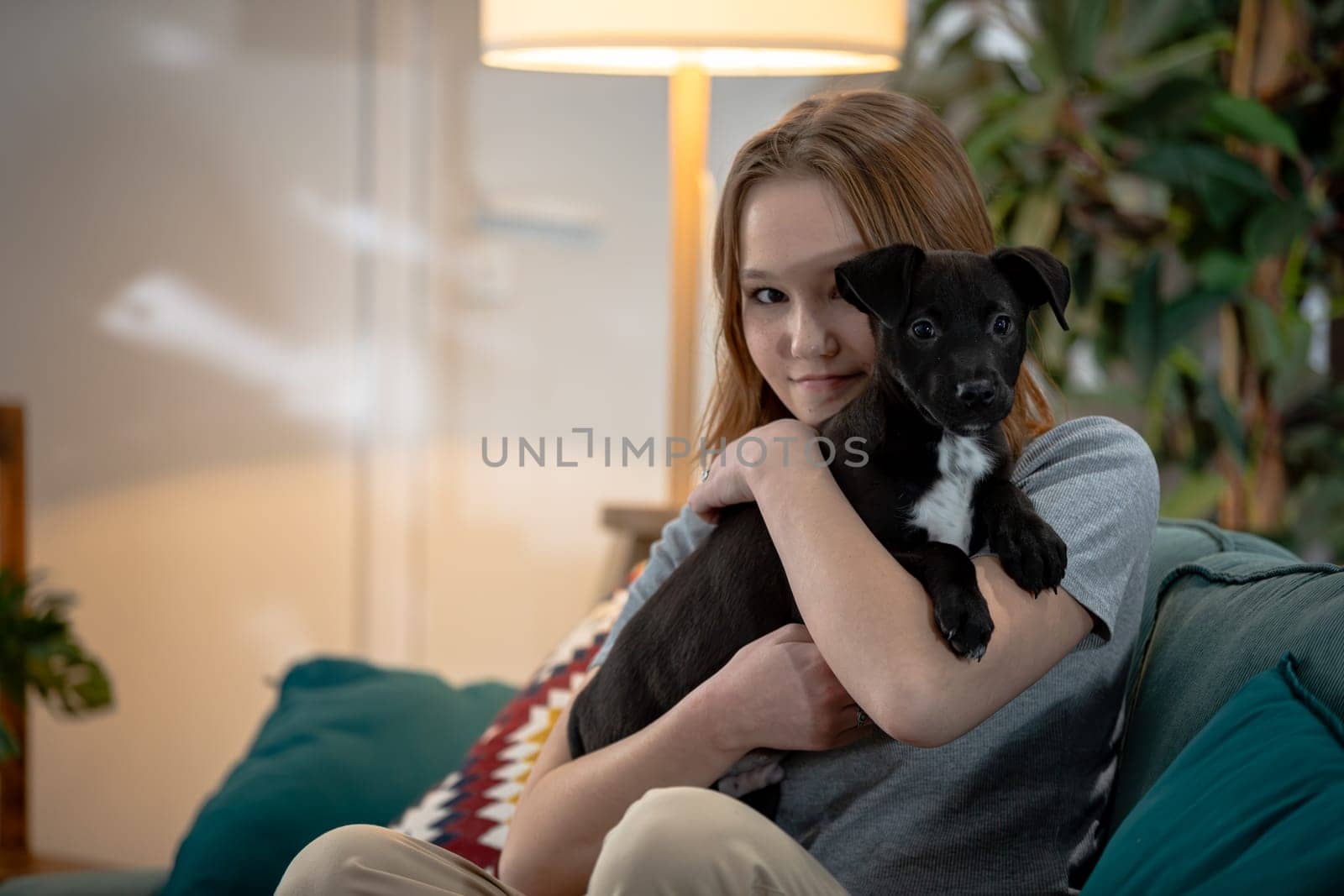 A young girl, joyfully sitting on a cozy couch, happily holding her adorable black puppy in a warm home environment
