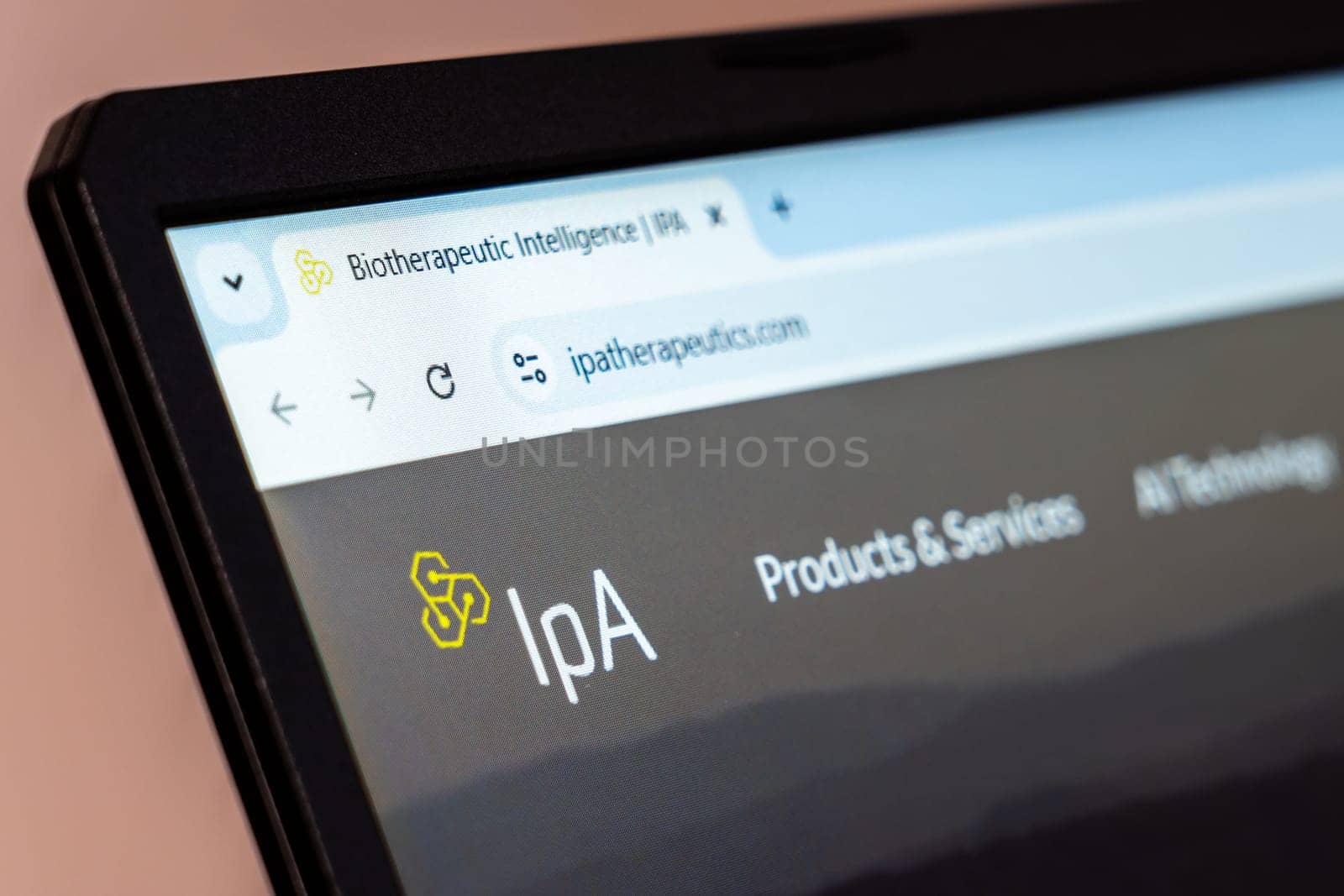 New York, USA - January 19, 2025: IPA website showcasing AI-driven business intelligence solutions and advanced analytics