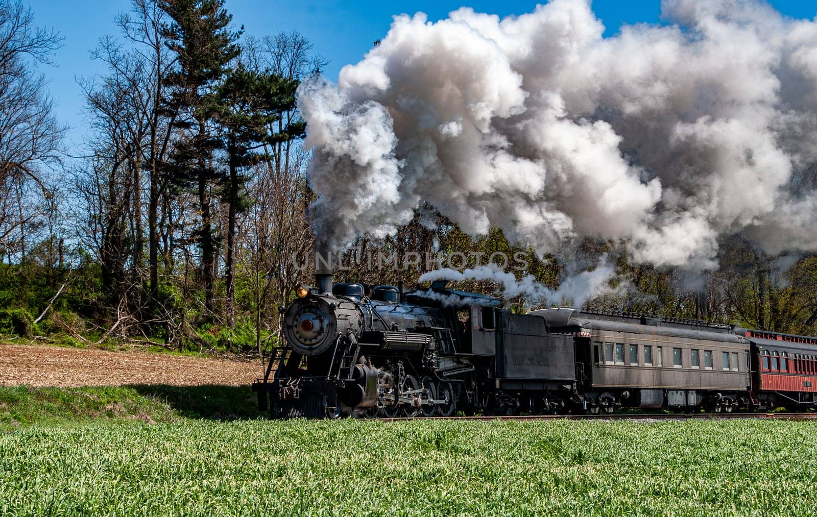 A large steam locomotive steams through a green field under blue skies, surrounded by trees. The train emits thick white smoke, creating a striking contrast with the vibrant scenery.