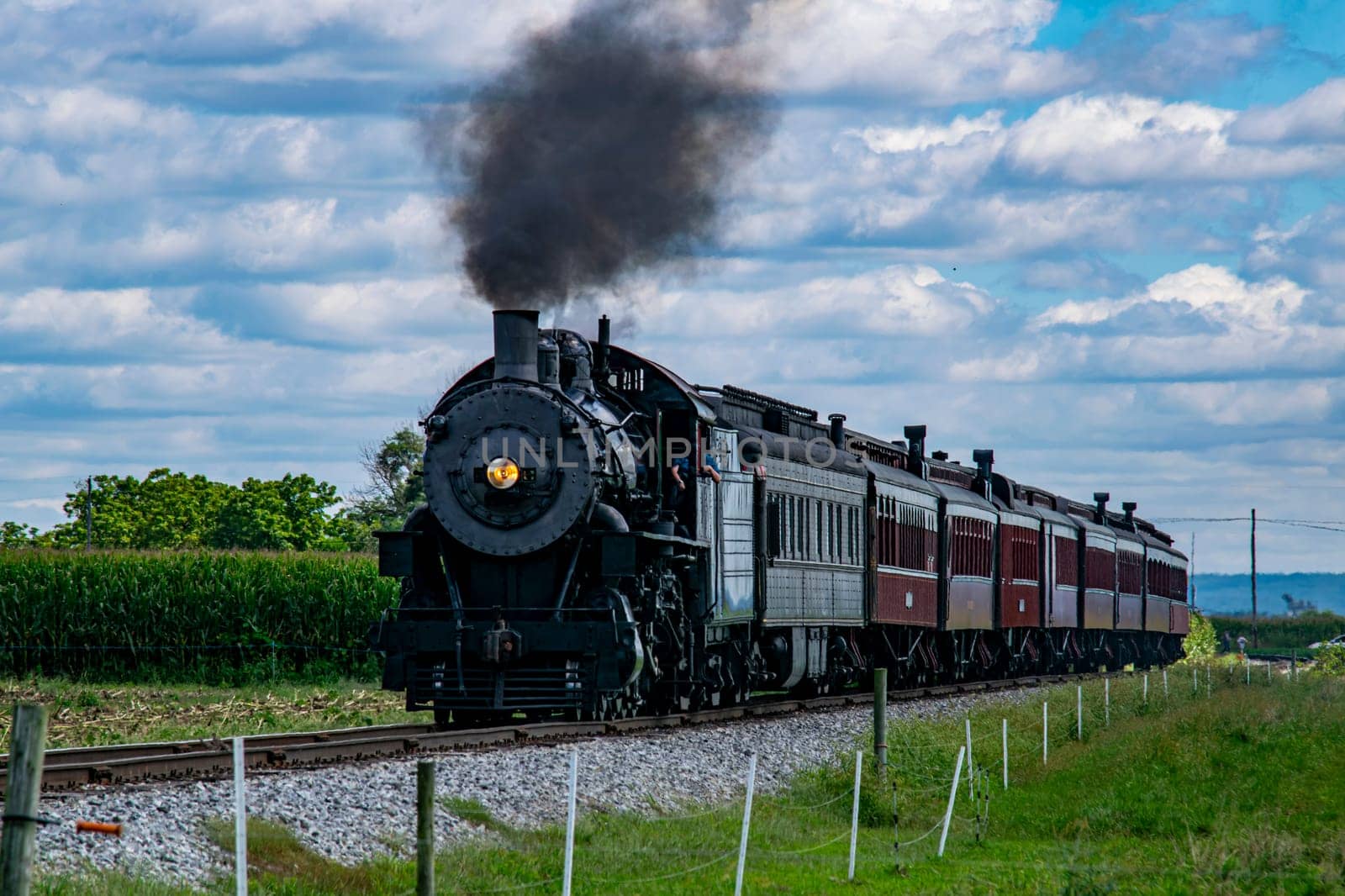 A vintage steam train puffs black smoke as it moves along the railway, surrounded by lush green cornfields and under a bright blue sky with fluffy clouds, creating a picturesque countryside view.
