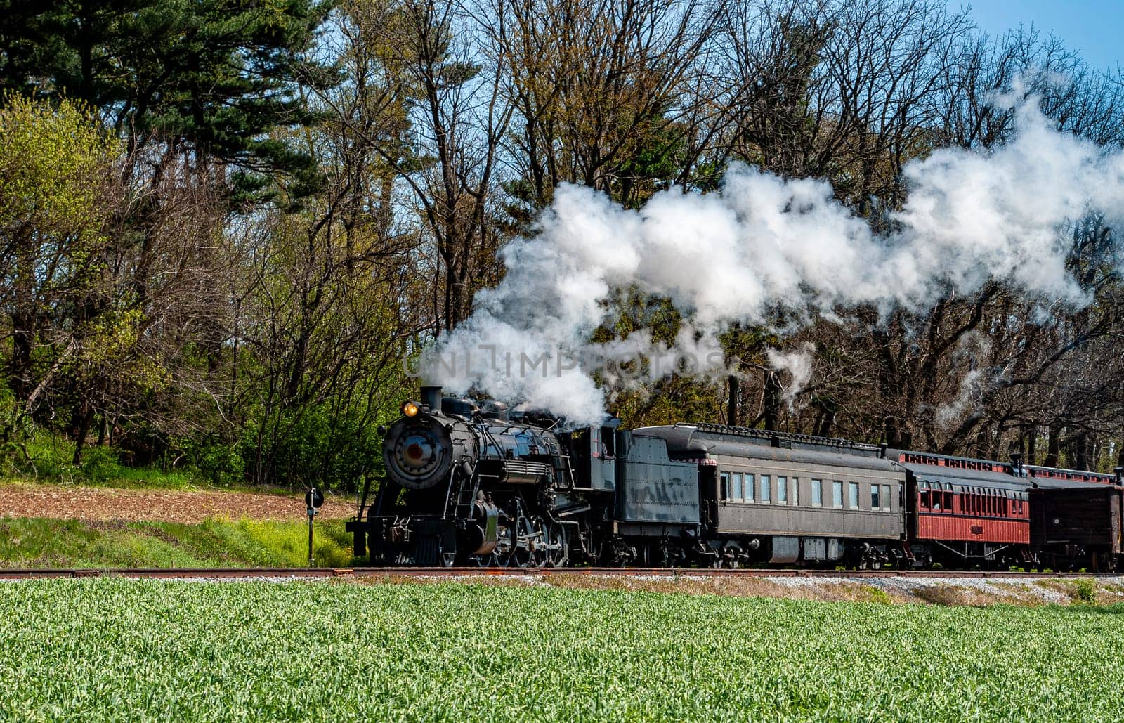 A classic steam locomotive pulls vintage passenger cars along a narrow track surrounded by vibrant green fields and trees under a clear blue sky.