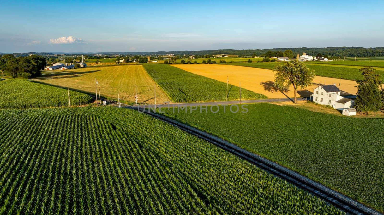 Lush green and golden fields stretch across the landscape under a clear blue sky. A quaint farmhouse sits beside the road, showcasing rural beauty at sunset.