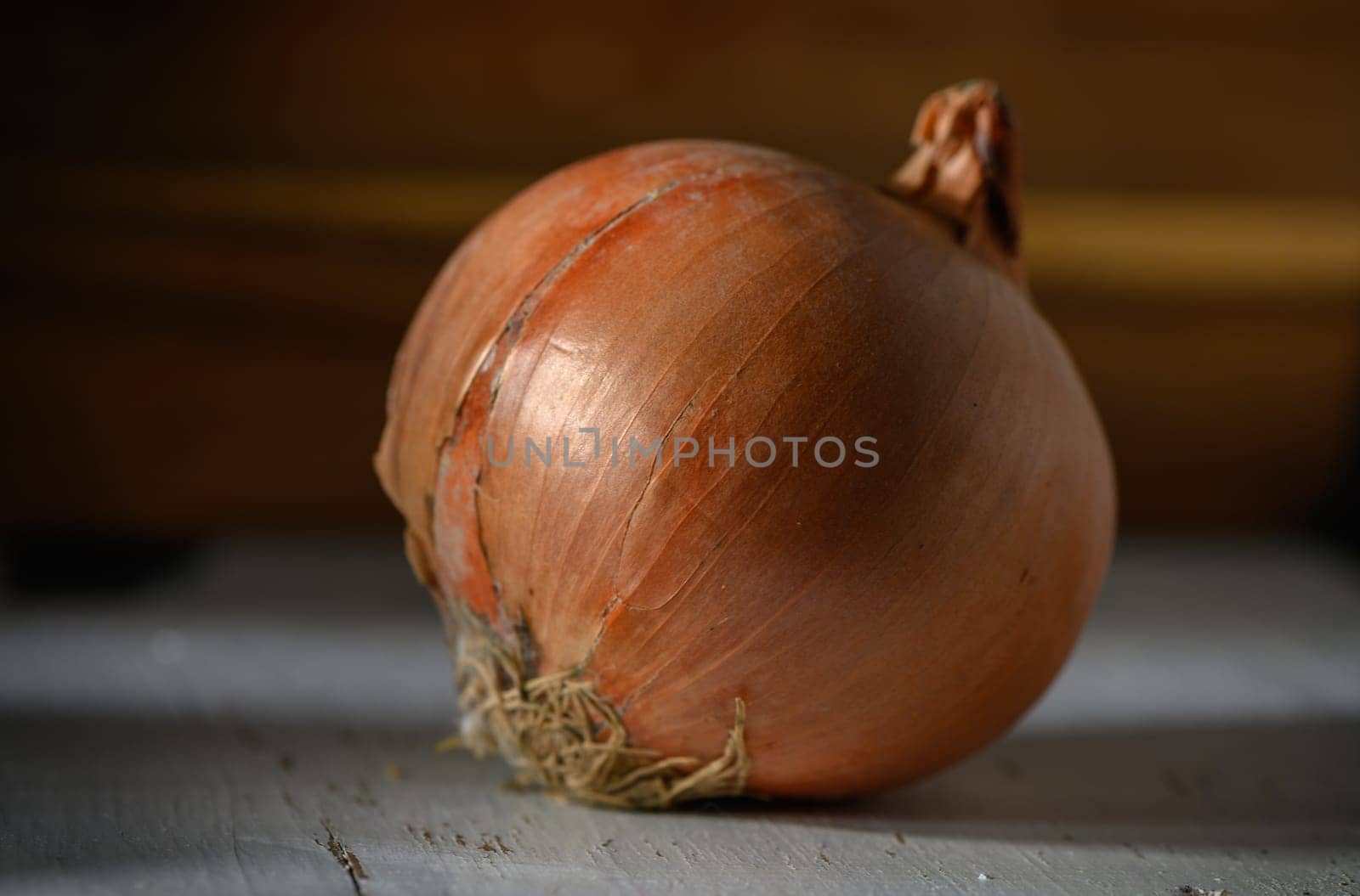 A beautifully curved onion displays its earthy tones, hinting at a flavorful ingredient just picked from the garden.