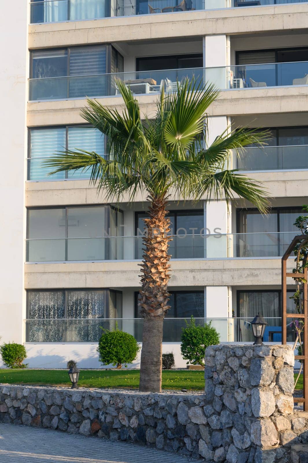 A majestic palm tree thrives next to a sleek contemporary structure on a bright day, showcasing urban beauty.