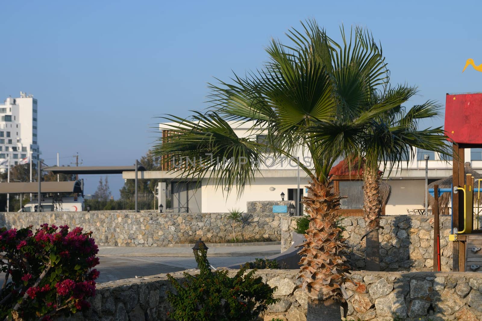 Lush palm trees sway gently as vibrant flowers bloom near charming buildings, creating a tranquil summer ambiance.
