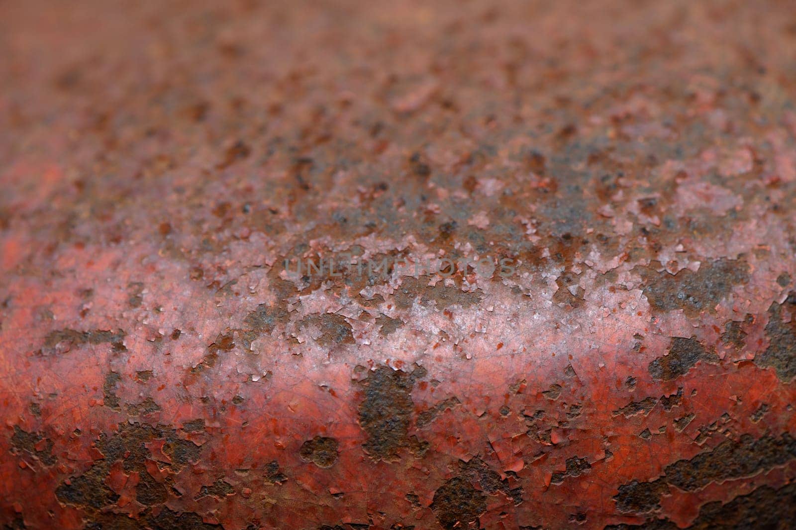 Layers of rust and decay showcase nature's art on a once-vibrant surface, hinting at forgotten histories.