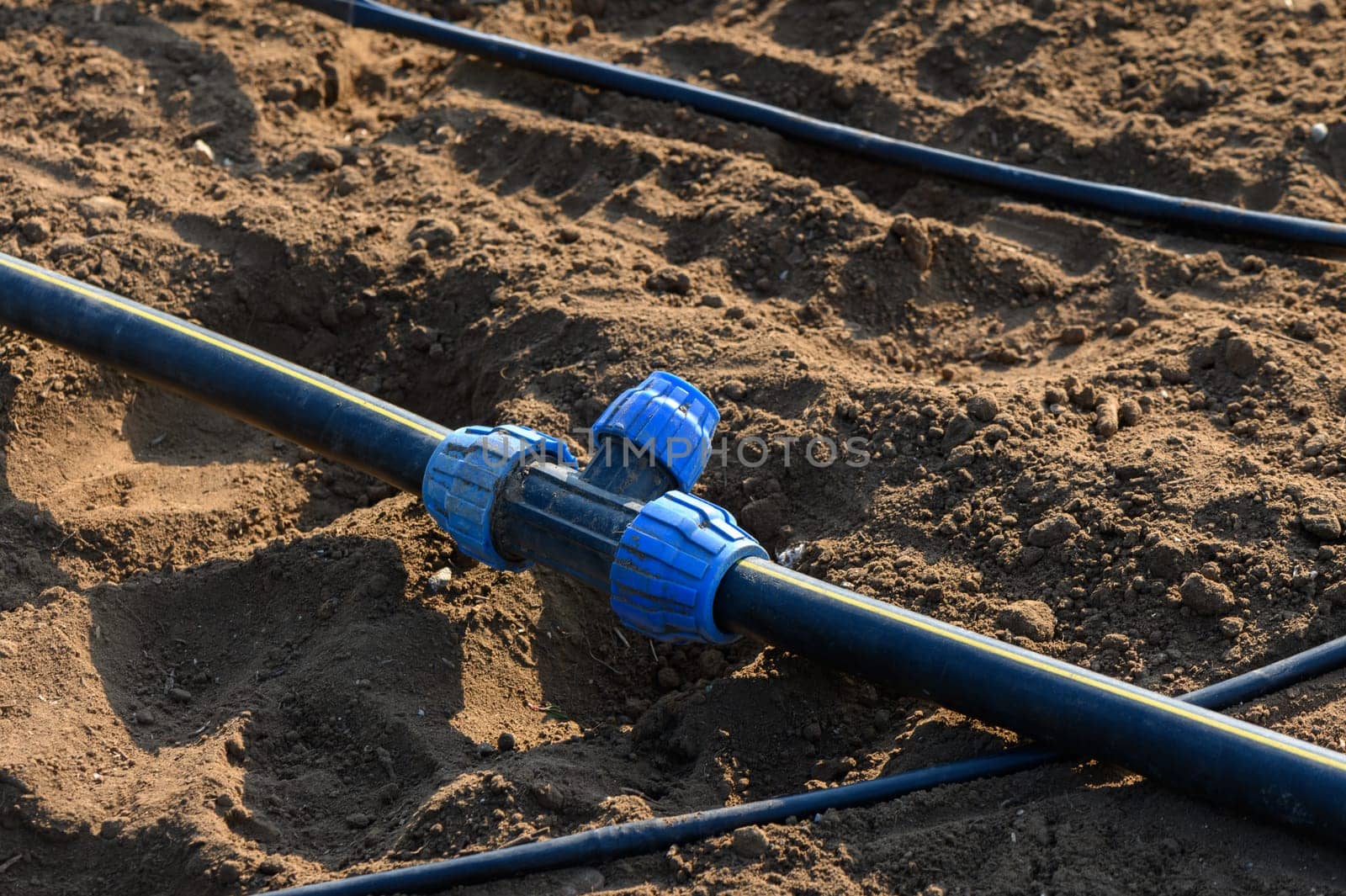A well-constructed irrigation setup supports plant growth in a vibrant, sunlit farm, showcasing agricultural technology.