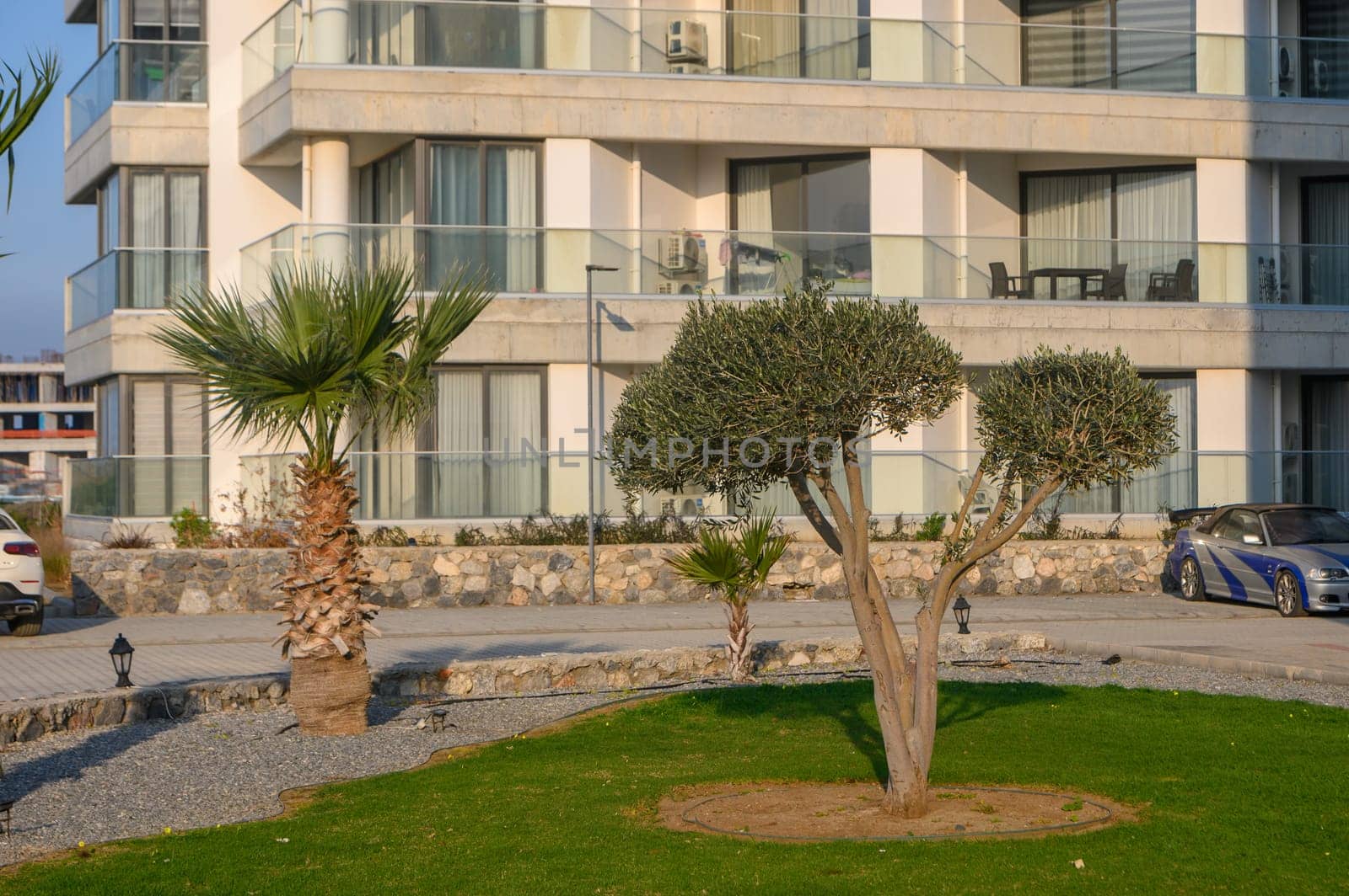 Olive and palm trees stand beautifully in a manicured lawn outside a modern coastal building at sunset.
