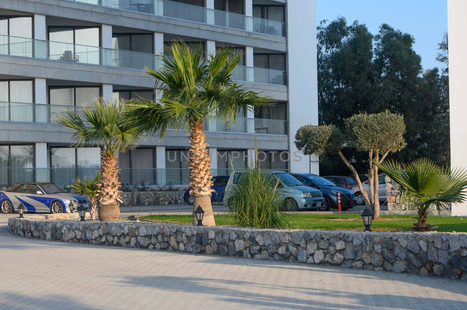 Luxury cars are parked beside palm trees in a vibrant urban setting during a sunny afternoon.