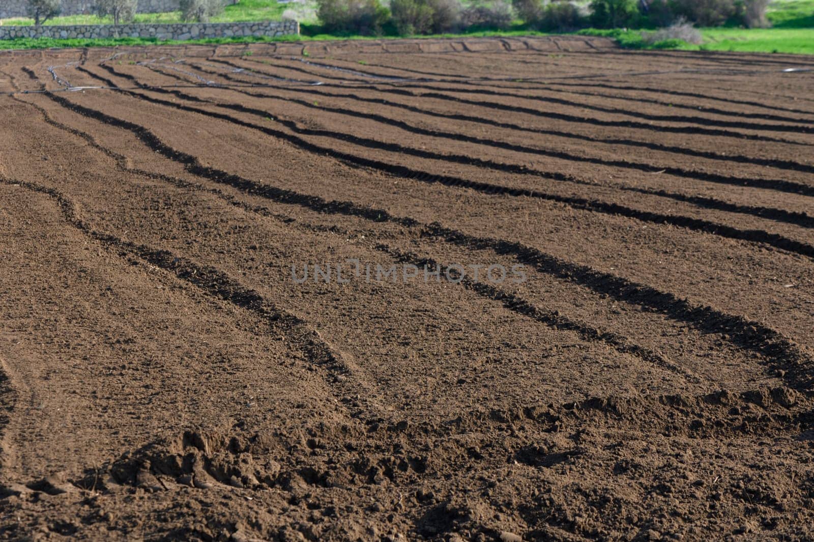 Brown soil with gentle furrows stretches across the landscape, basking in warm sunlight on a clear day.