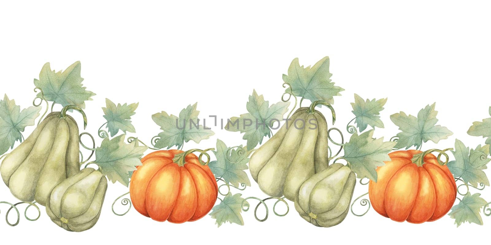 Squash seamless border clipart presents a mix of green, and orange gourds with watercolor leaves, ideal for creating harvest-themed designs. Perfect for stationery, scrapbooking, and fabric prints