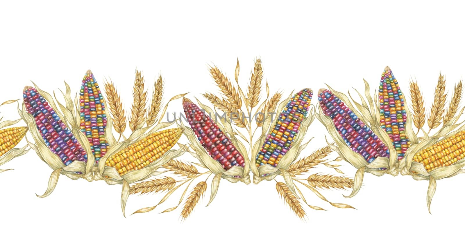 Corn seamless border clipart showcases colorful watercolor corn cobs in a seamless pattern, ideal for adding a festive and natural element to your designs, fabric patterns, brochures, and event decor