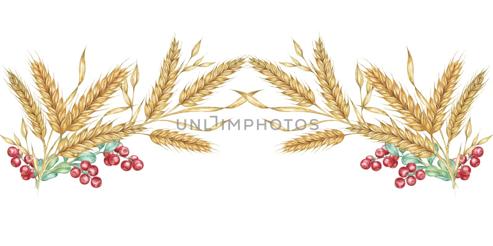 Wheat seamless border clipart combines watercolor wheat stalks with red berries, creating a charming design element for your projects. Perfect for holiday-themed designs, invitations, and crafts