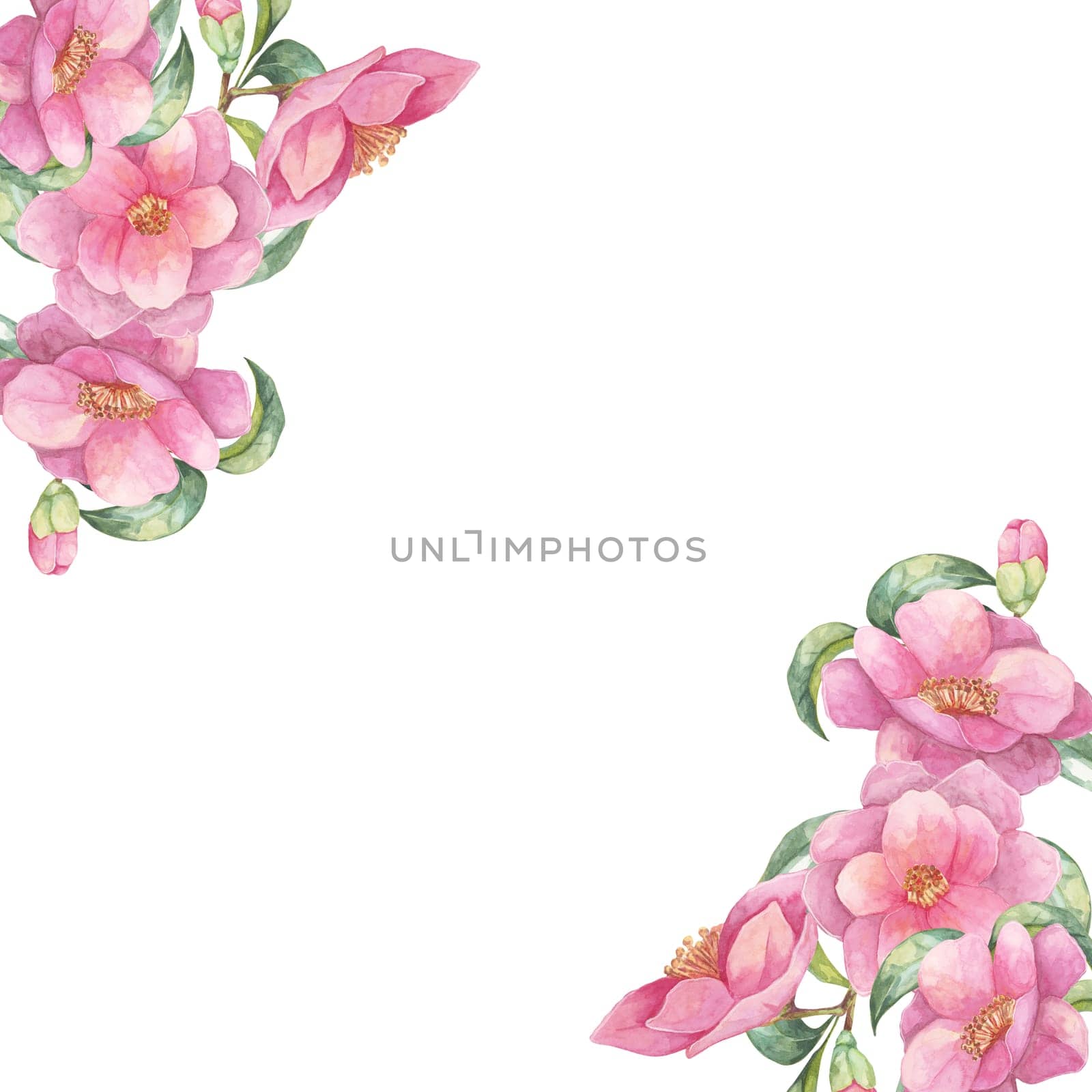 Camellia japonica flower. Watercolor clipart featuring pink blooms with green leaves in the corners of a square frame. Floral elegant design perfect for invitations, greeting cards, and stationery