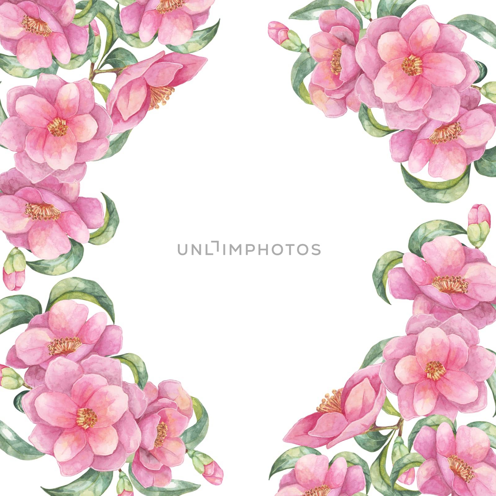 Pink camellia japonica watercolor clipart depicting blooming flowers adorning two sides of a square frame. Floral design ideal for wedding invitations, decorative cards, and digital designs
