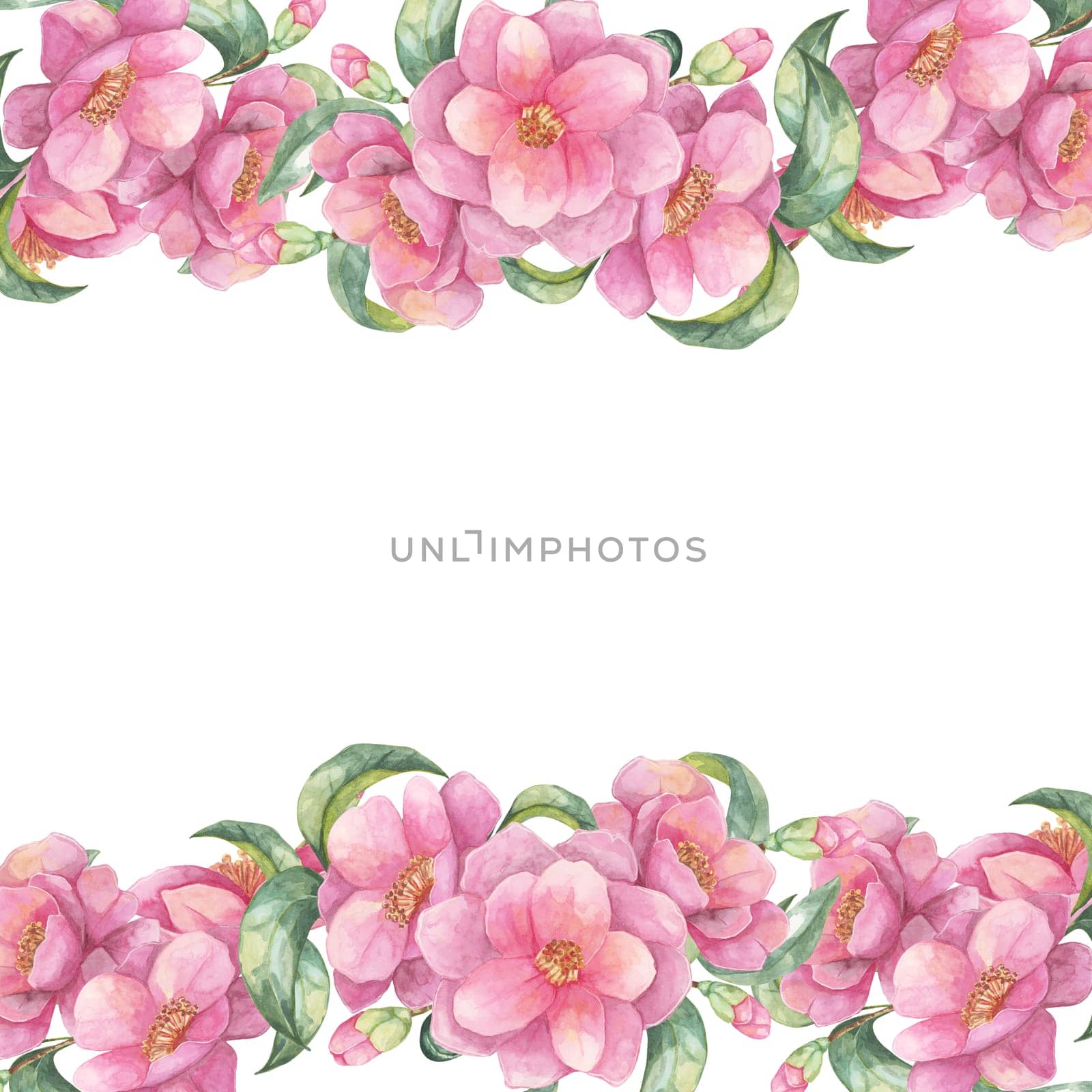 Camellia japonica watercolor illustration showing a pink floral border on a sides of square frame. Flowers clipart great for scrapbooking, printable art, and personalized gifts