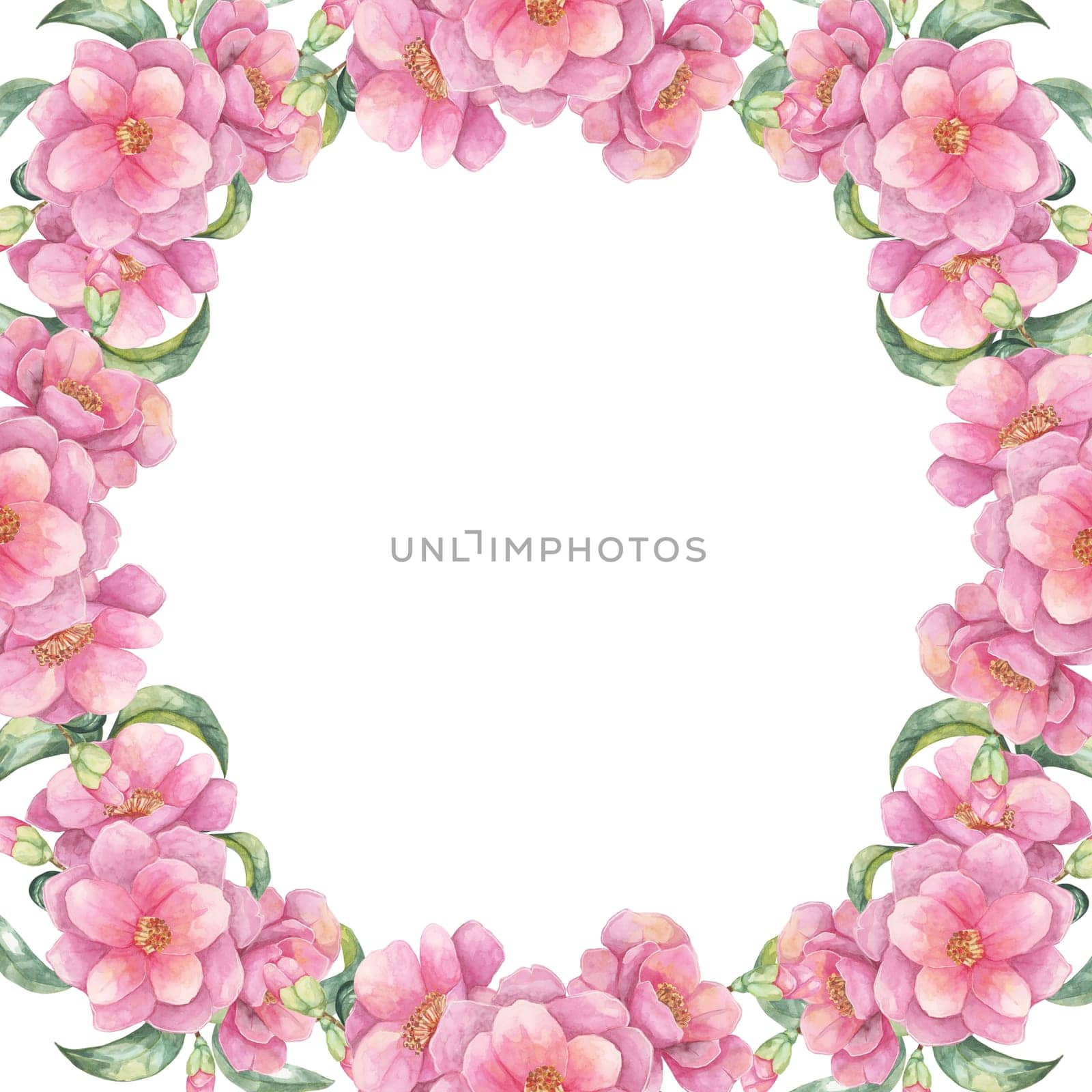 Pink camellia watercolor clipart displaying an oval floral frame with lush blooms. Hand drawn Illustration Suitable for designing event invitations, personalized stationery, and wall art