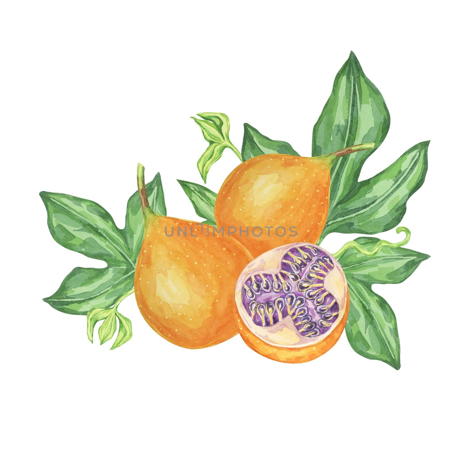 Sweet granadilla watercolor clipart shows two orange fruits with green leaves and a sliced fruit revealing the seeds. Perfect for culinary illustrations, kitchen wall art, and botanical prints