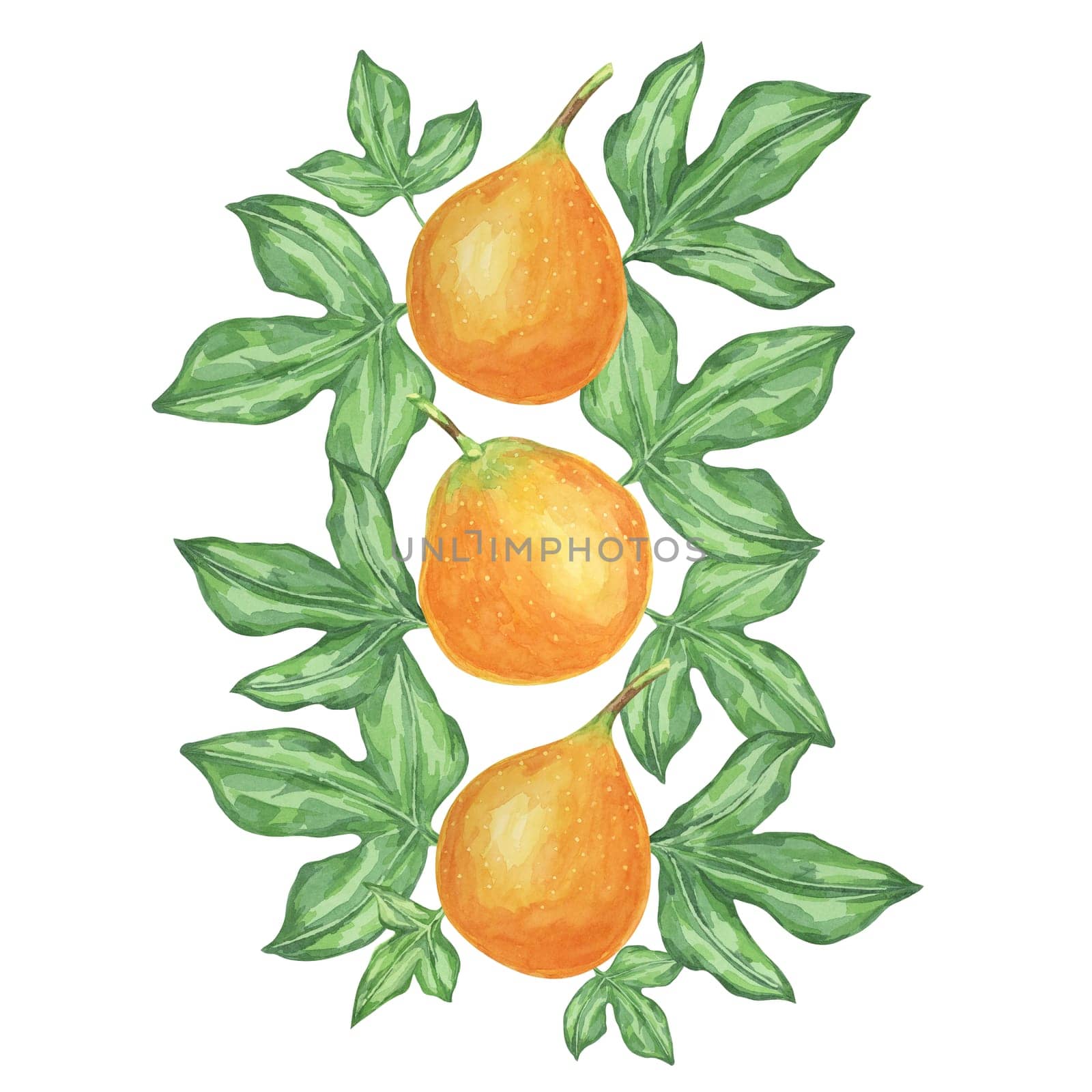 Sweet granadilla watercolor depicts three ripe maracuja fruits arranged vertically with green leaves. Clipart for decorative projects, food blogs, and educational materials about tropical fruits