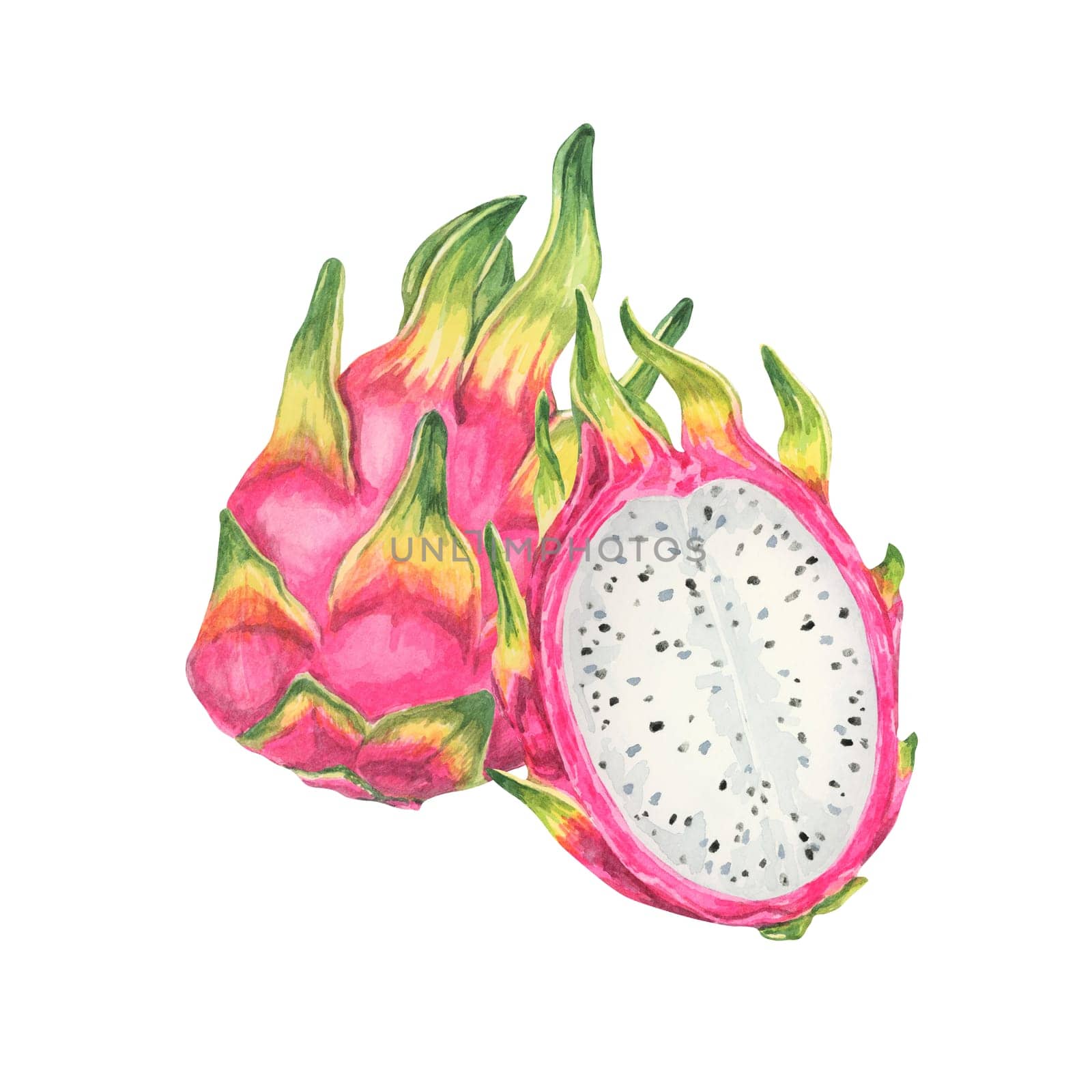 Pitaya watercolor clipart depicting whole pink dragon fruits, one sliced open to show the inner white flesh speckled with black seeds. Great for kitchen decor, food labels, and educational materials